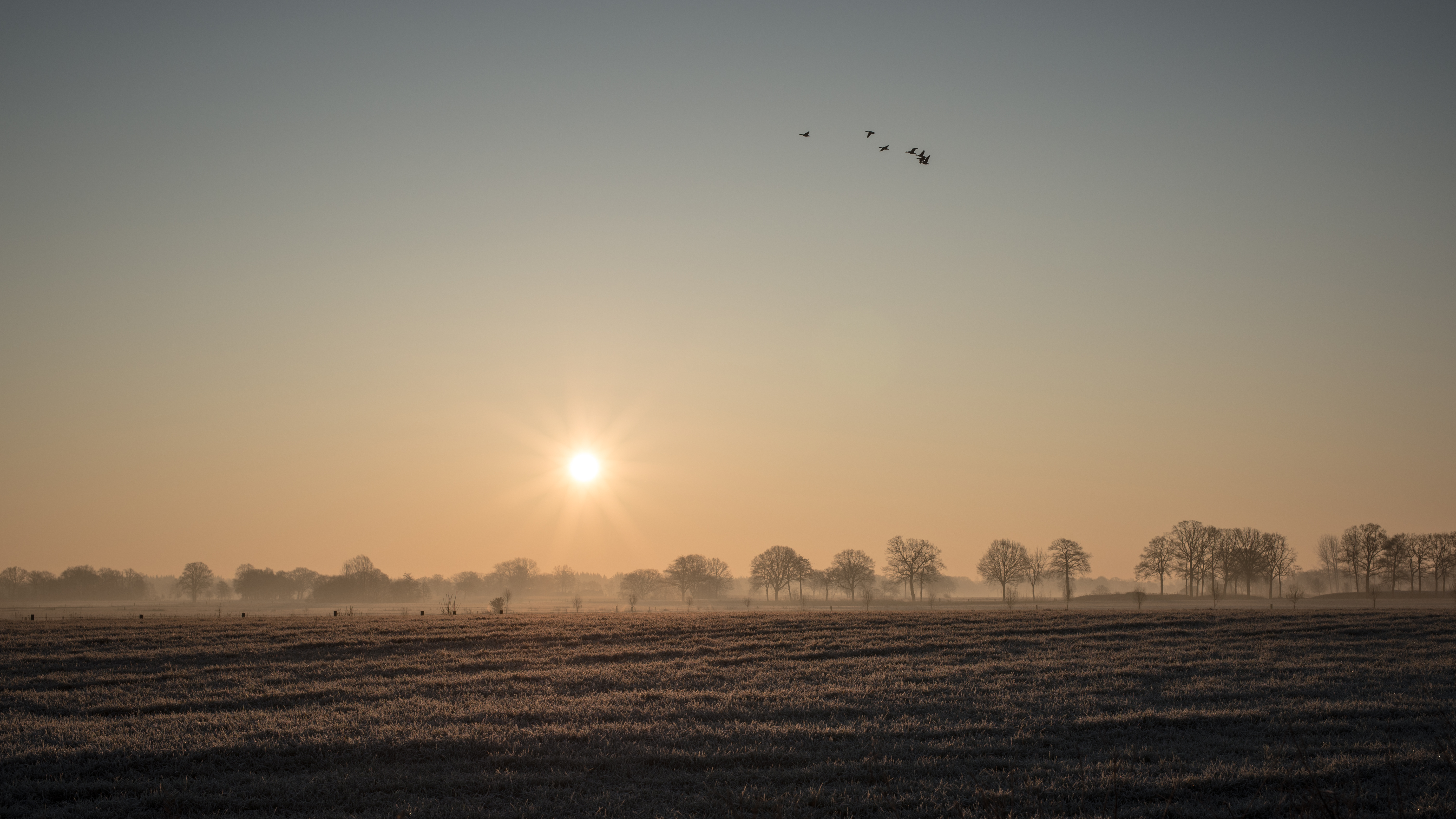 mooi-begin-van-een-nieuwe-dag