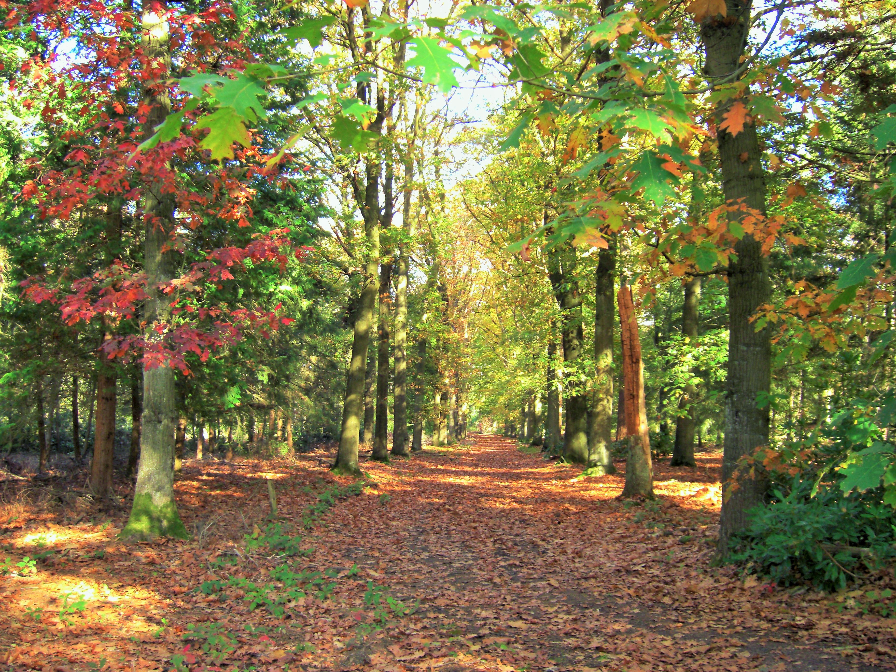 bospassage-buunderkamp