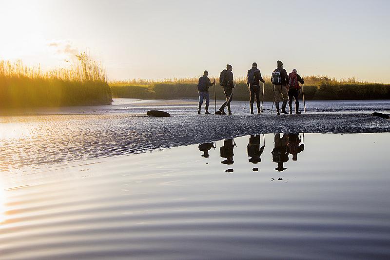 aan-de-wandel-in-het-verdronken-land-van-saeftinghe-1