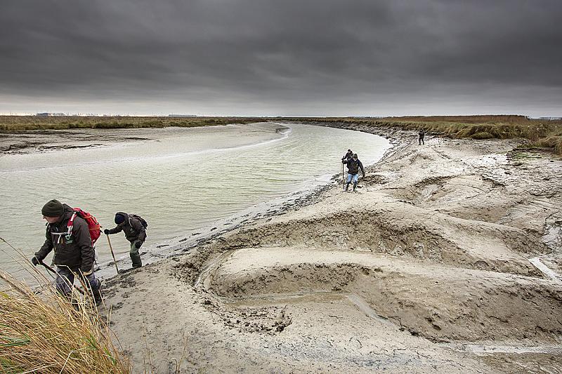 aan-de-wandel-in-het-verdronken-land-van-saeftinghe-0