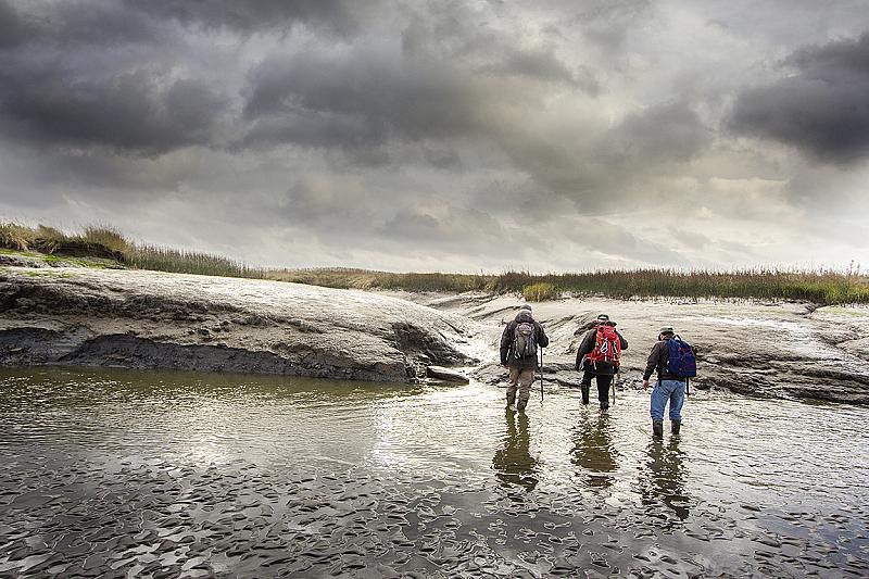 aan-de-wandel-in-het-verdronken-land-van-saeftinghe