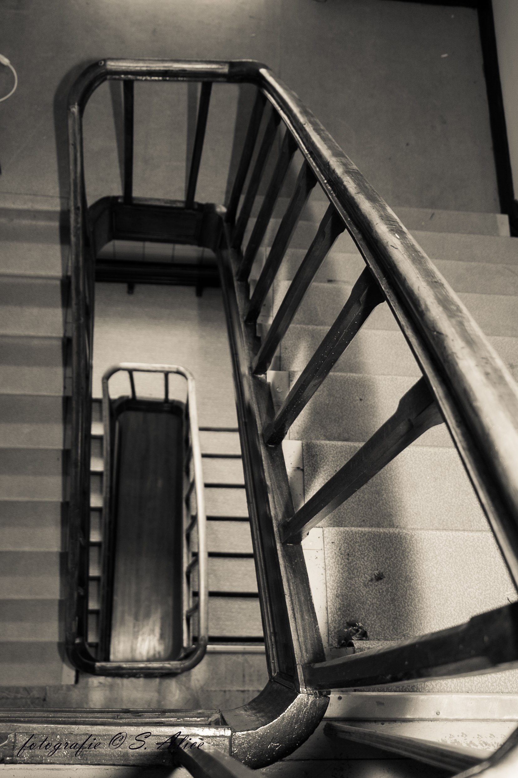 traphal-in-slotklooster