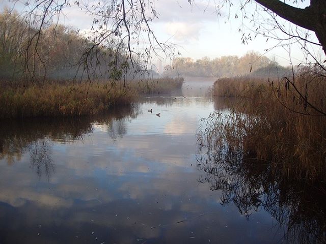 mooie-weerspiegeling