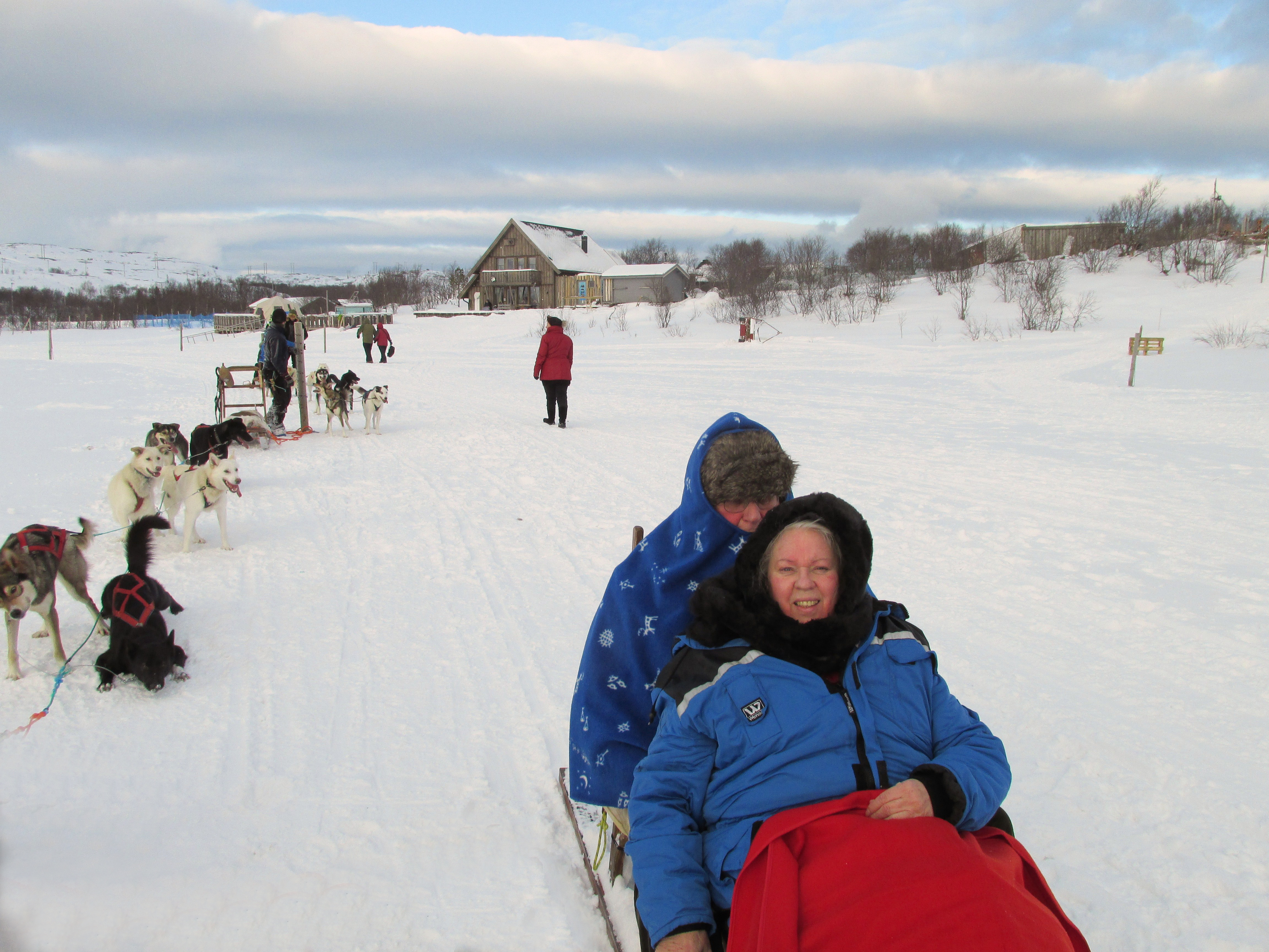 ijskoude-huskey-safari