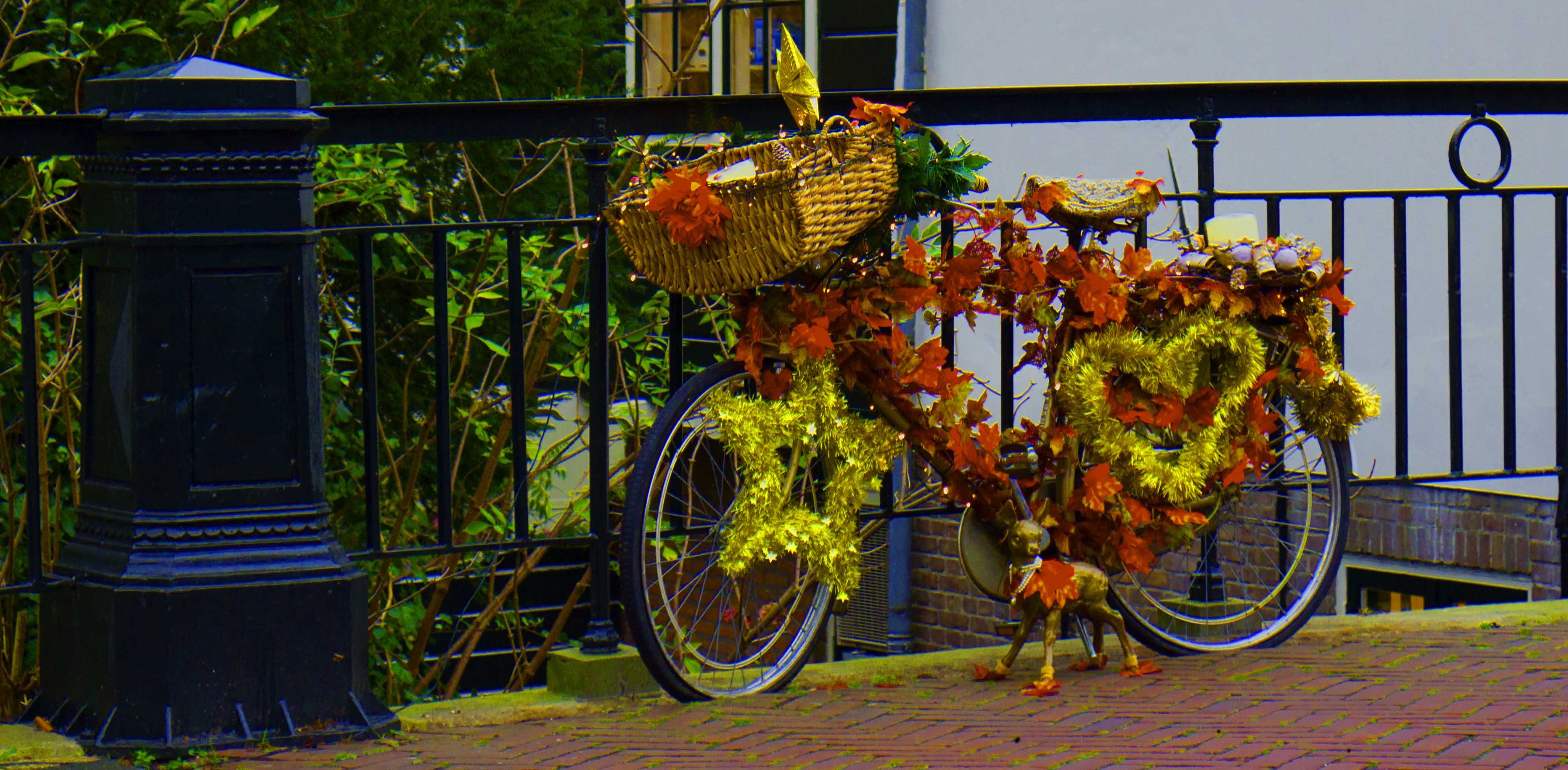 fiets-in-feeststemming