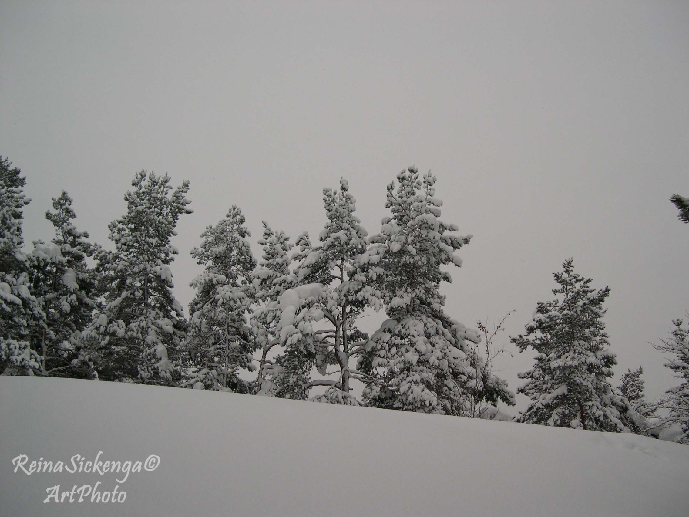 winter-in-hjulsbro-zweden