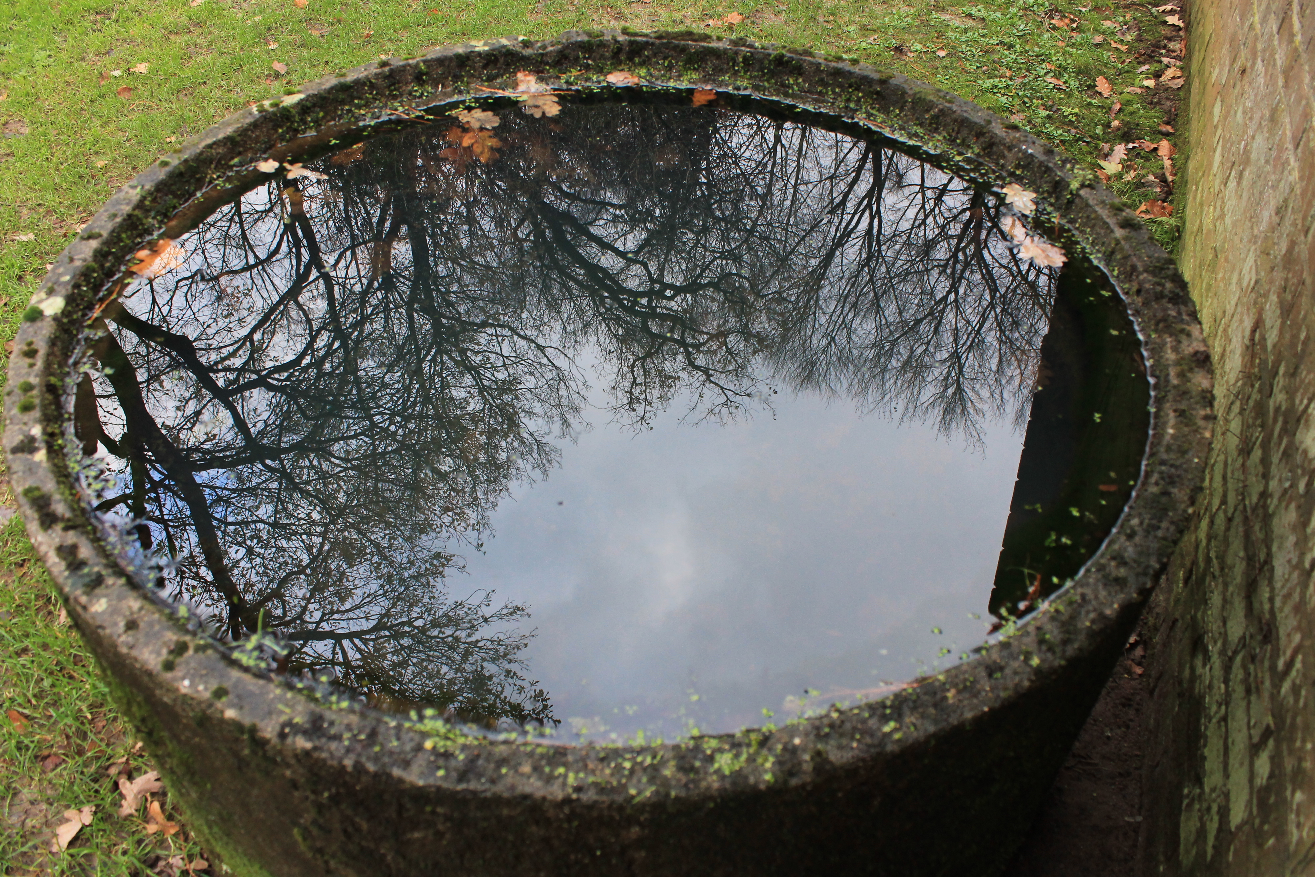 waterput-in-de-herfst