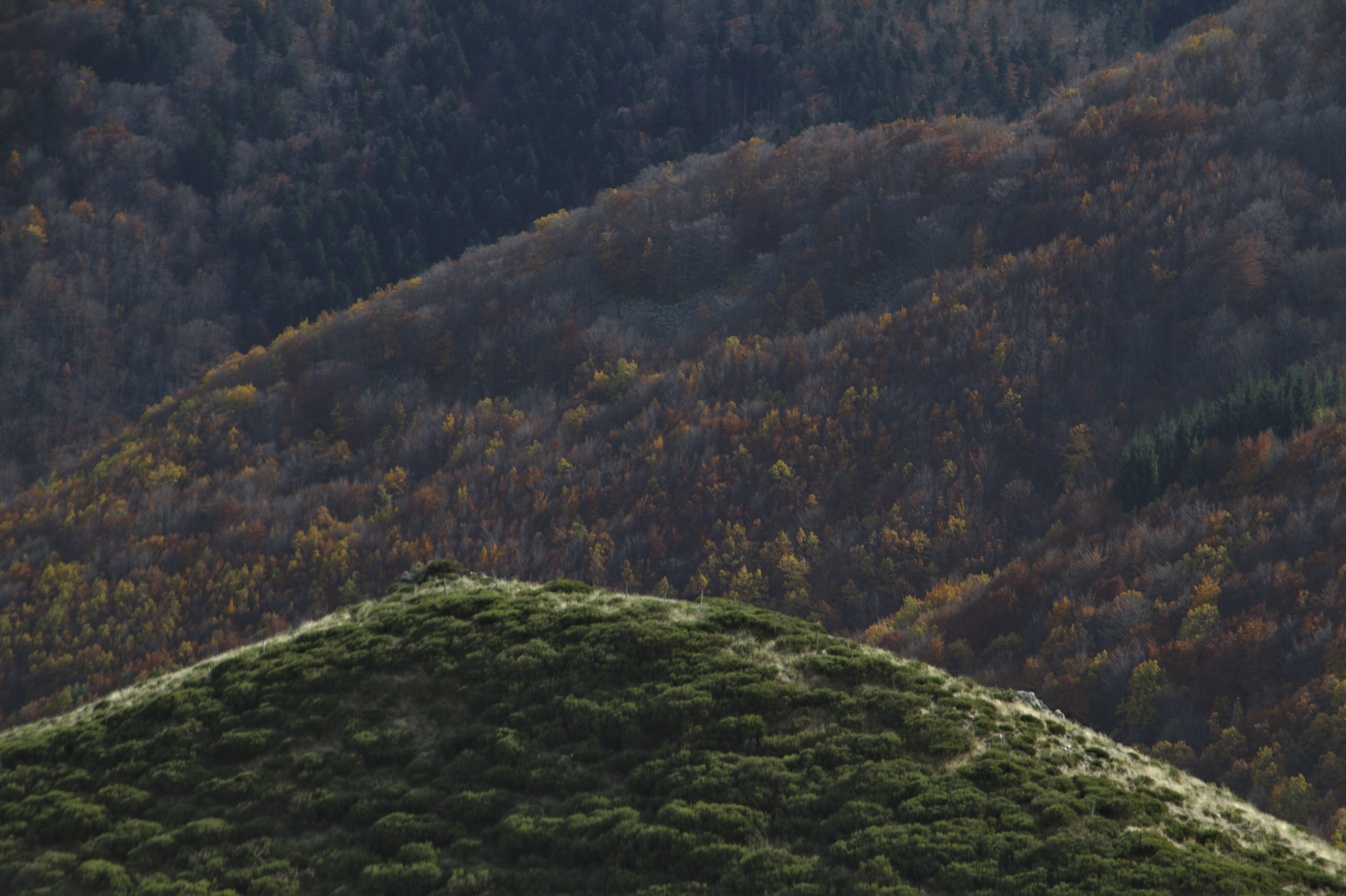 herfst-in-de-ard%C3%A8che