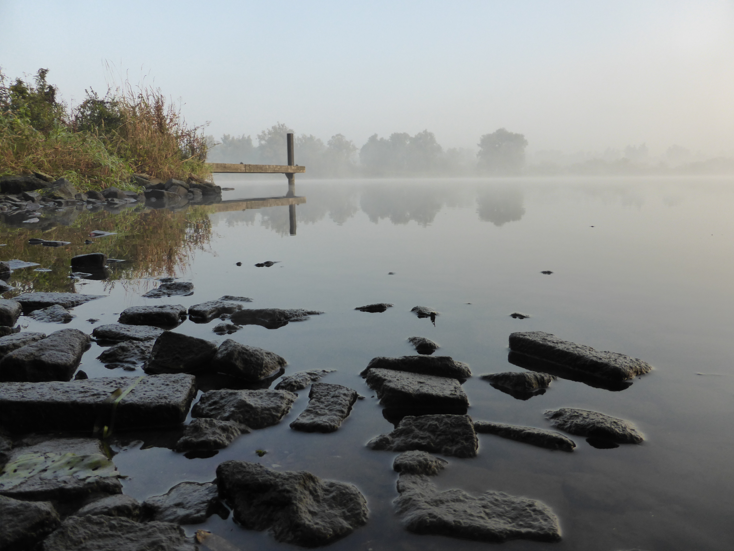serene-stilte-en-mysterieuze-mist-in-het-najaar-in-de-brabantsche-biesbosch