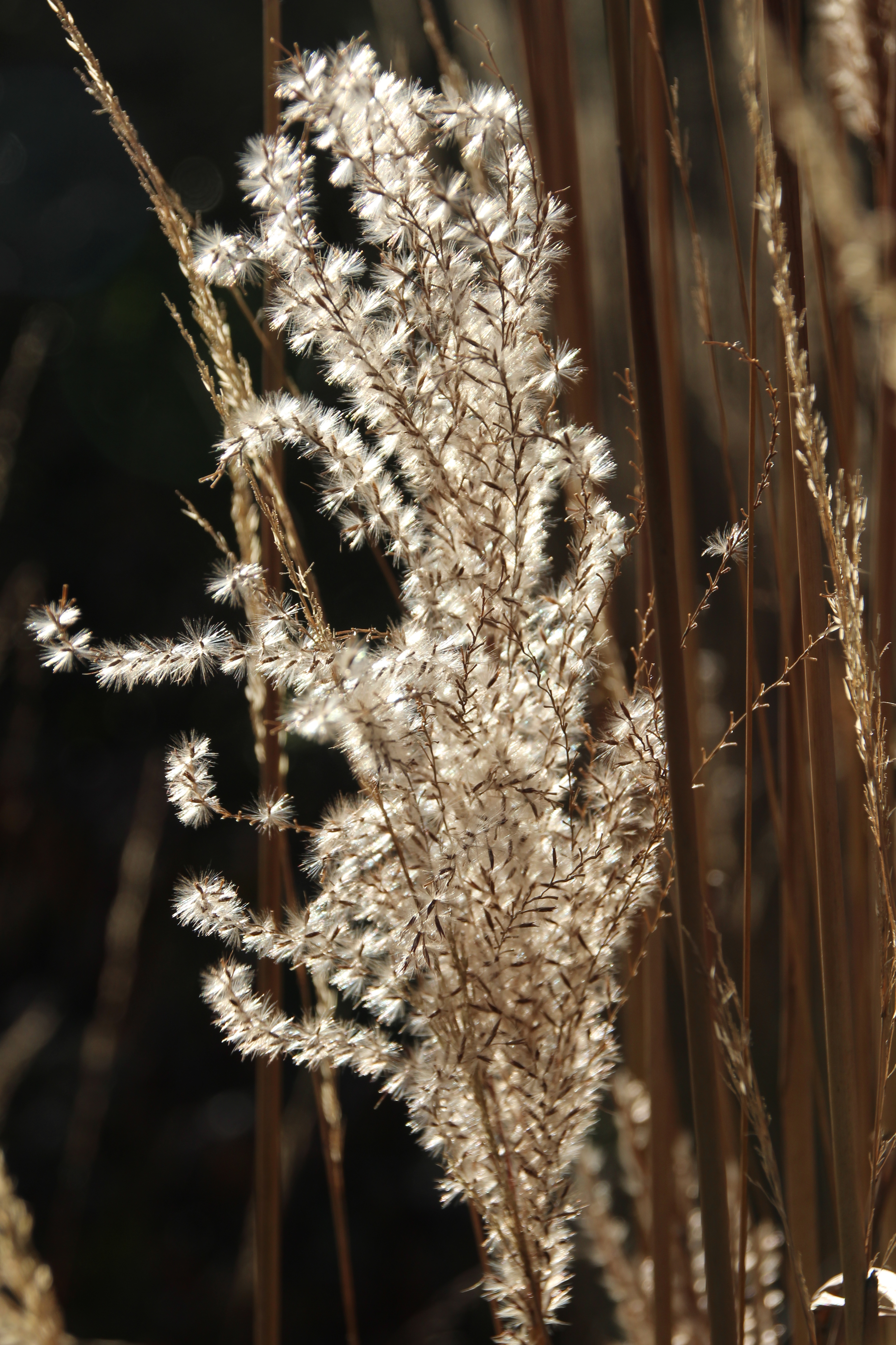 een-zonnige-herfstdag