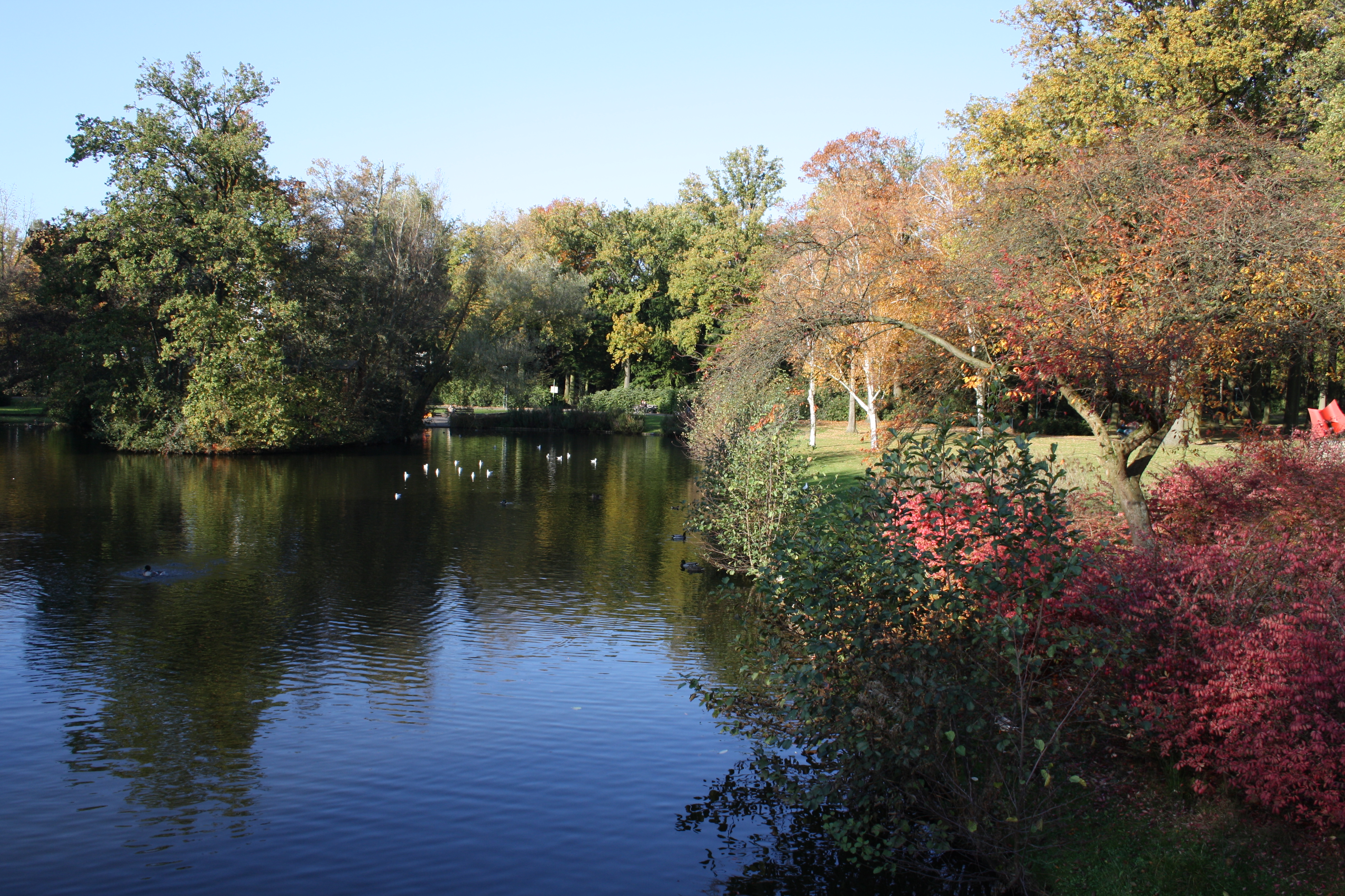 schitterende-herfst-in-stadswandelpark-eindhoven