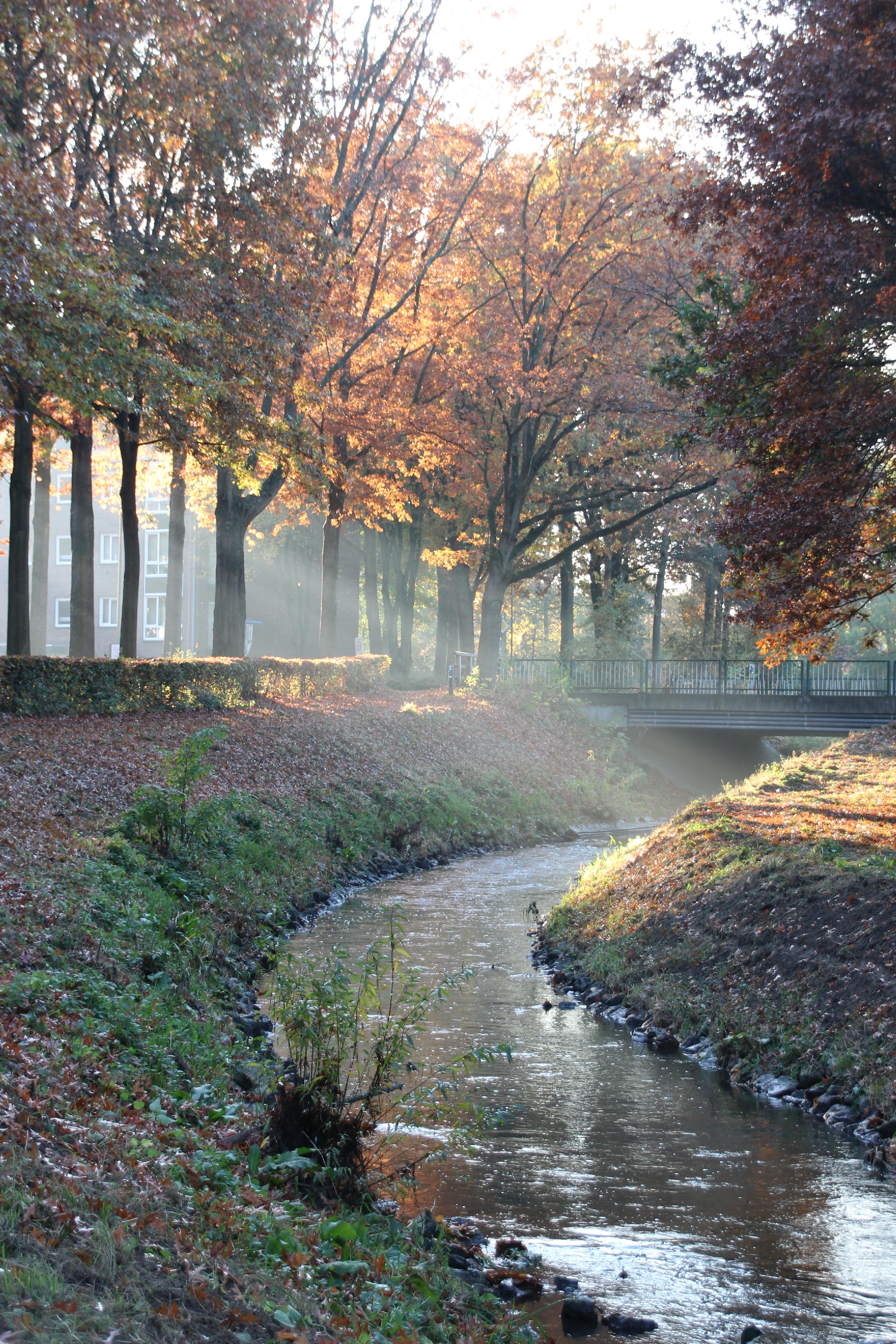 herfst-in-sittard