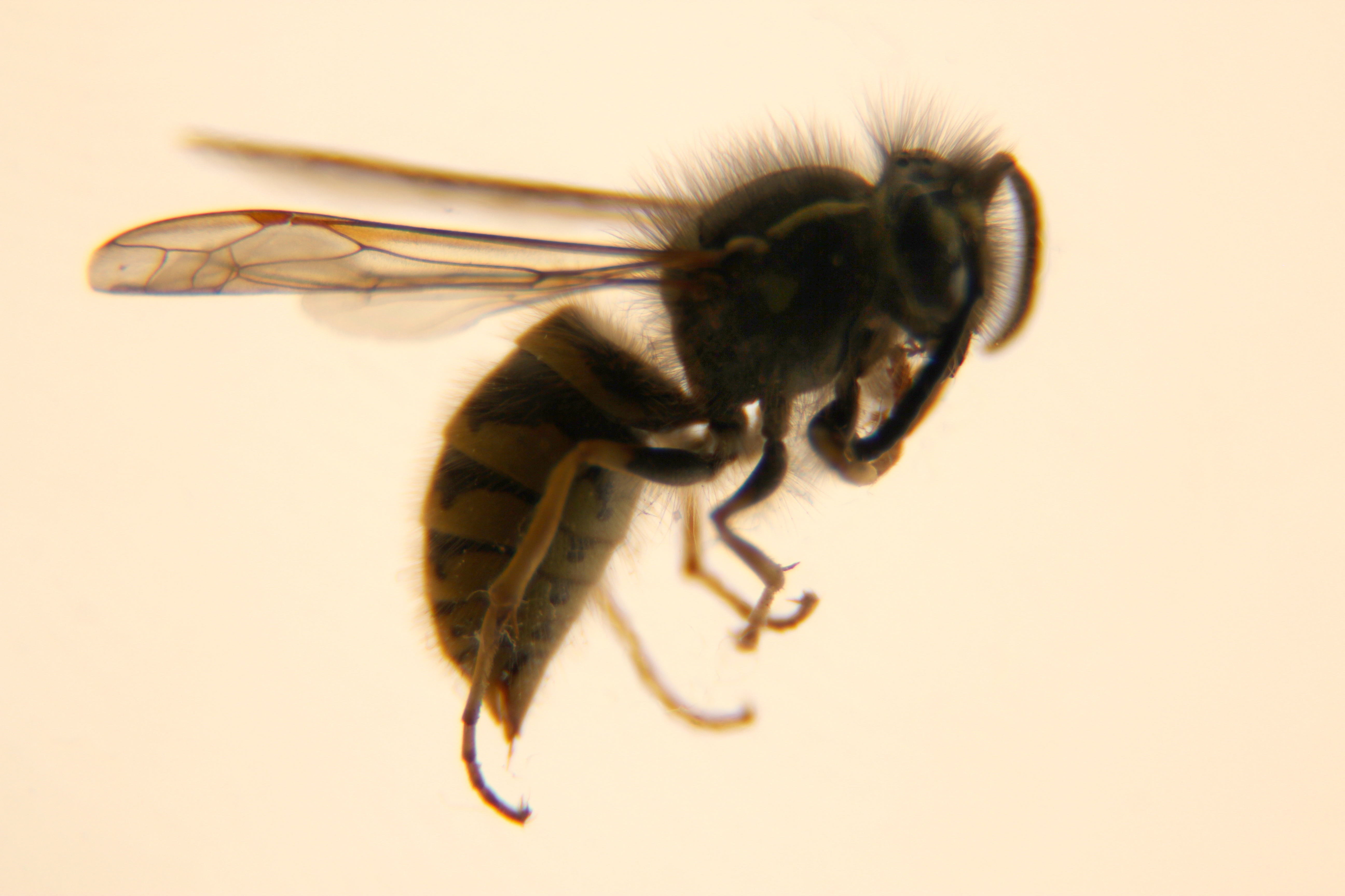 het-einde-van-het-seizoen