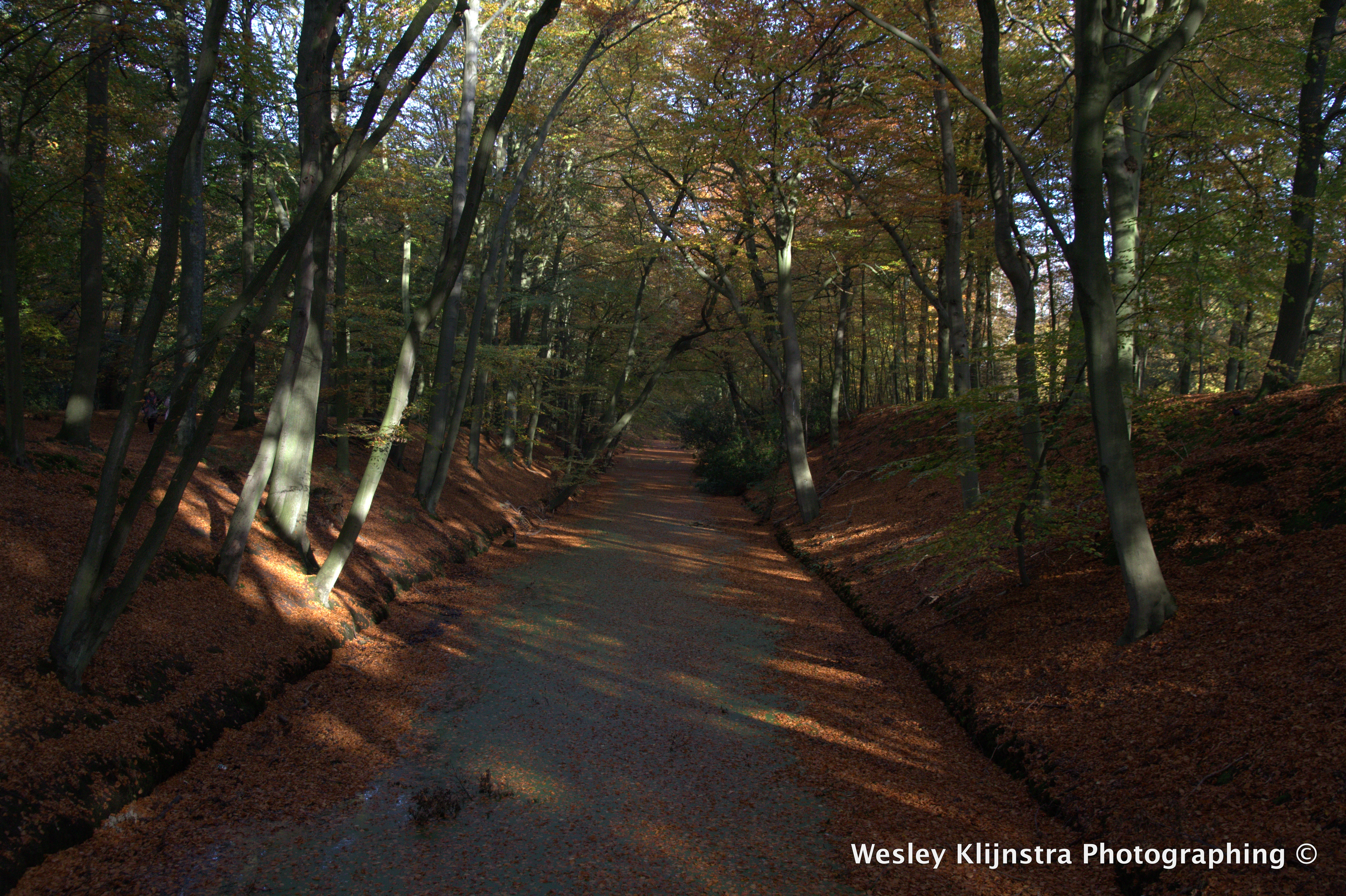 herfst-in-clingendael
