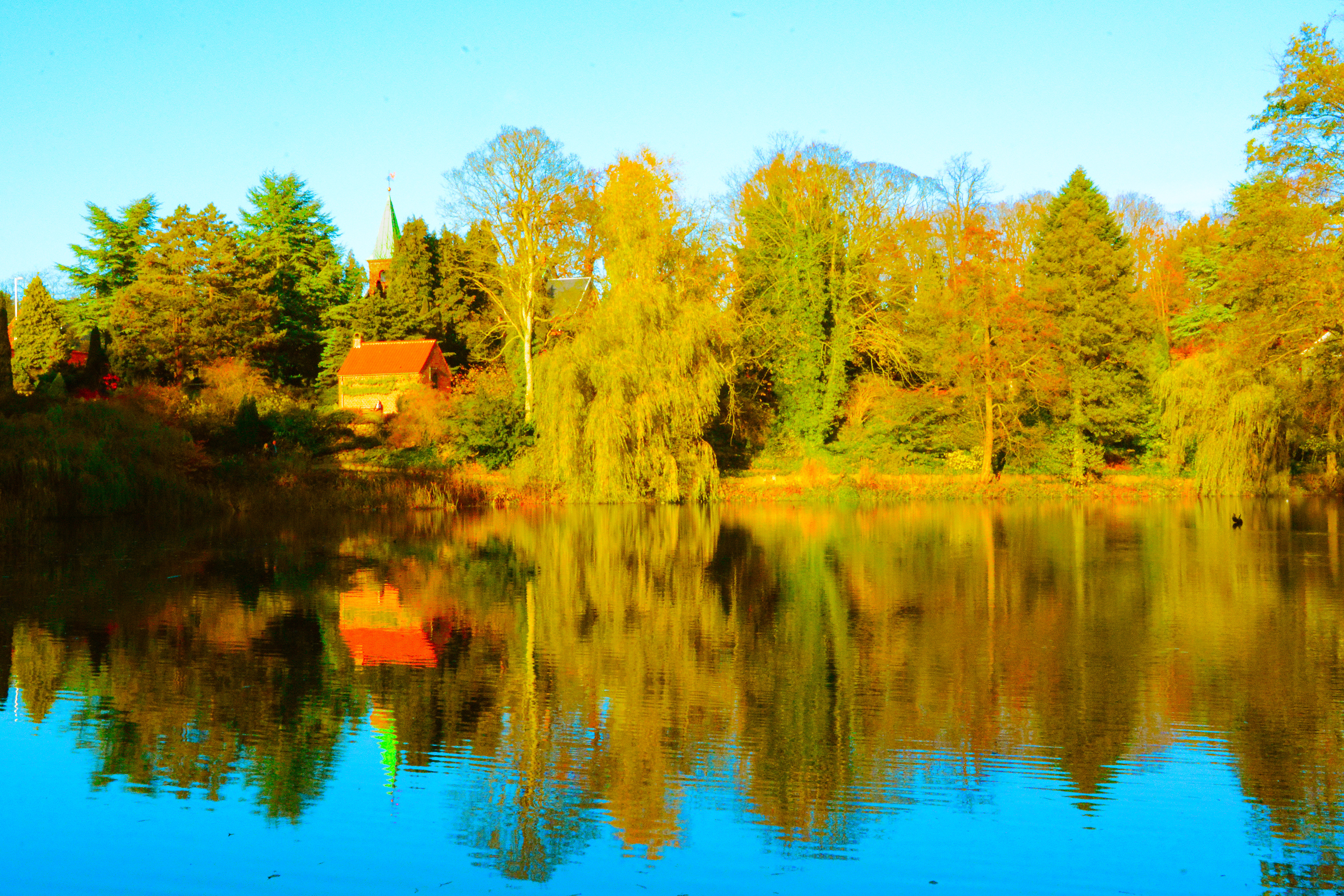 reflection-of-autumn