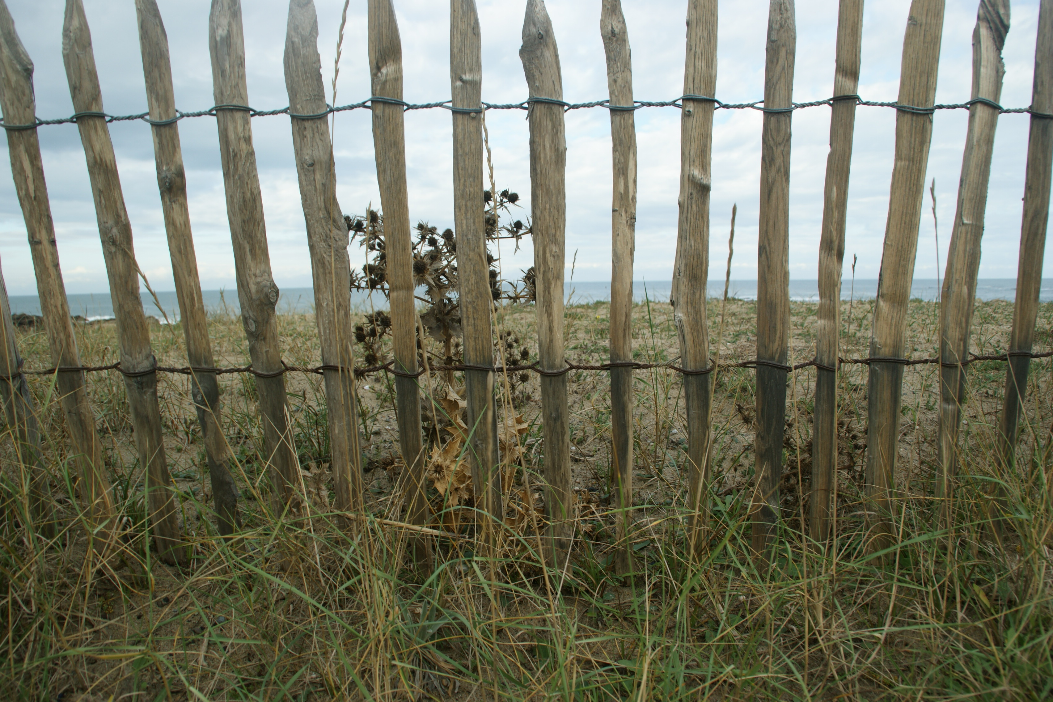 view-from-behind-the-bars