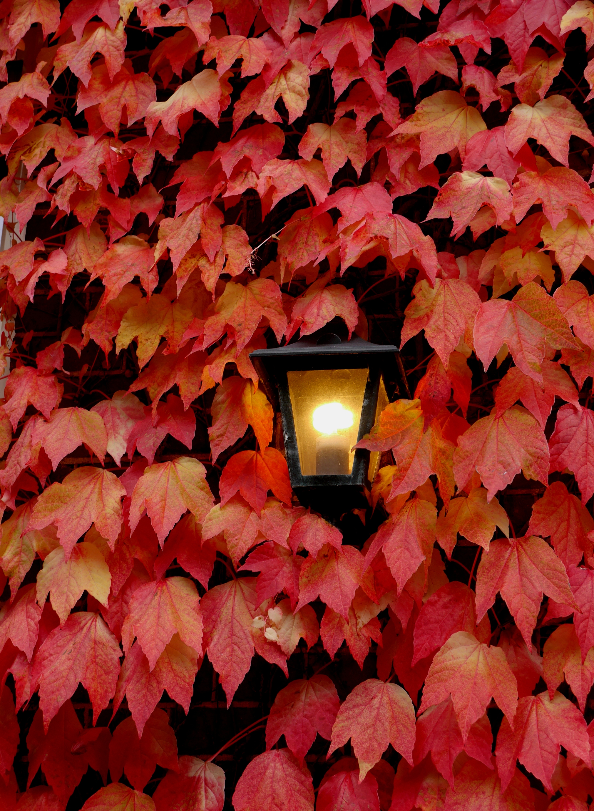 red-light-district-1