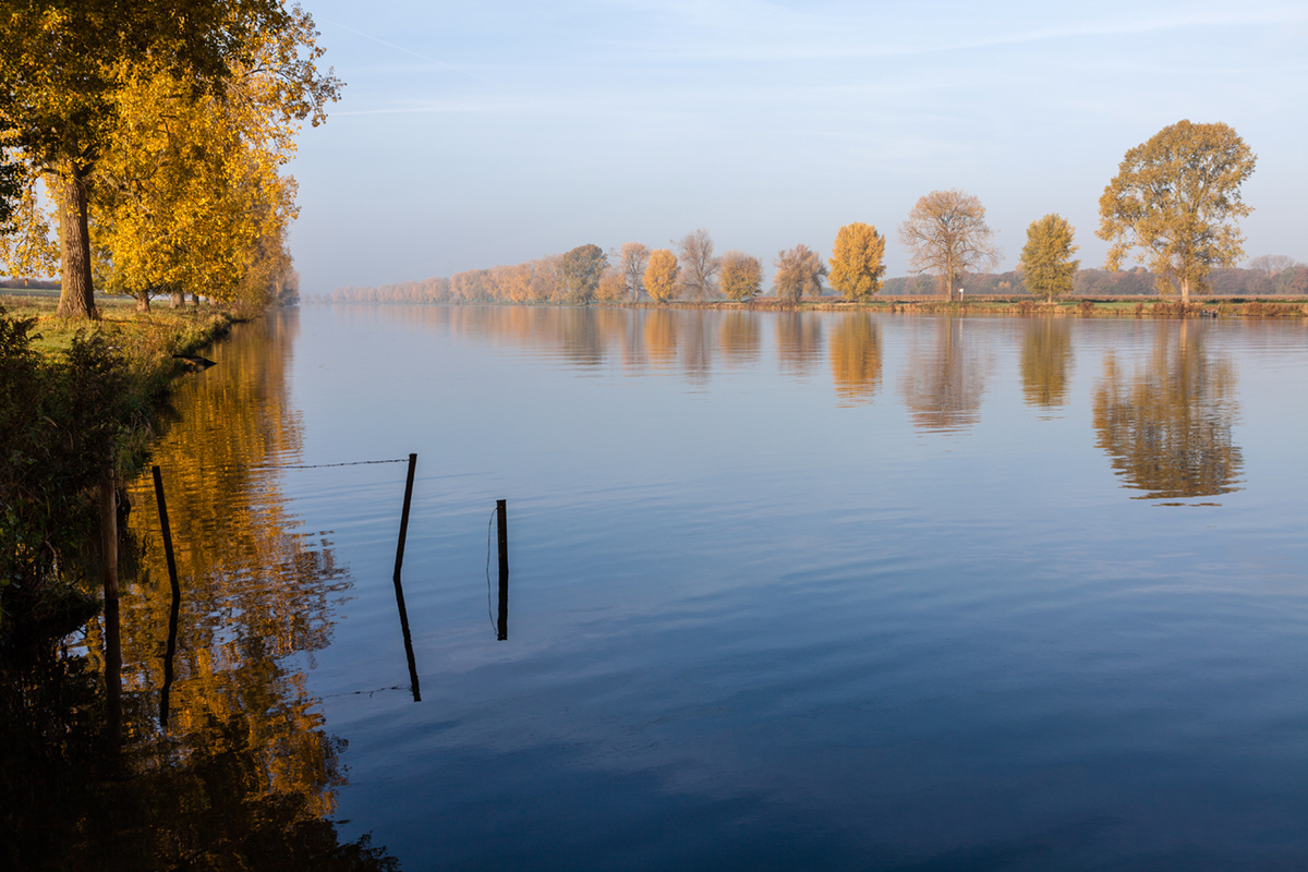 de-maas-in-herfst-setting