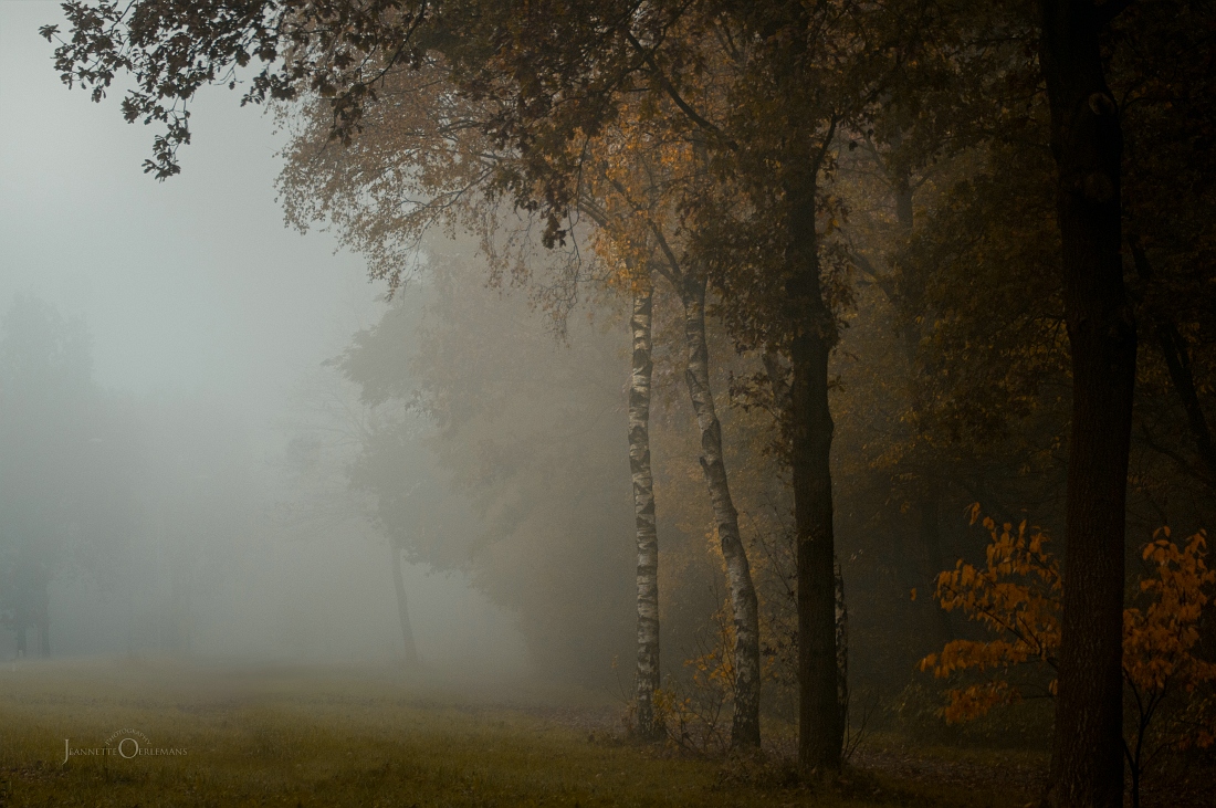 just-a-day-in-november