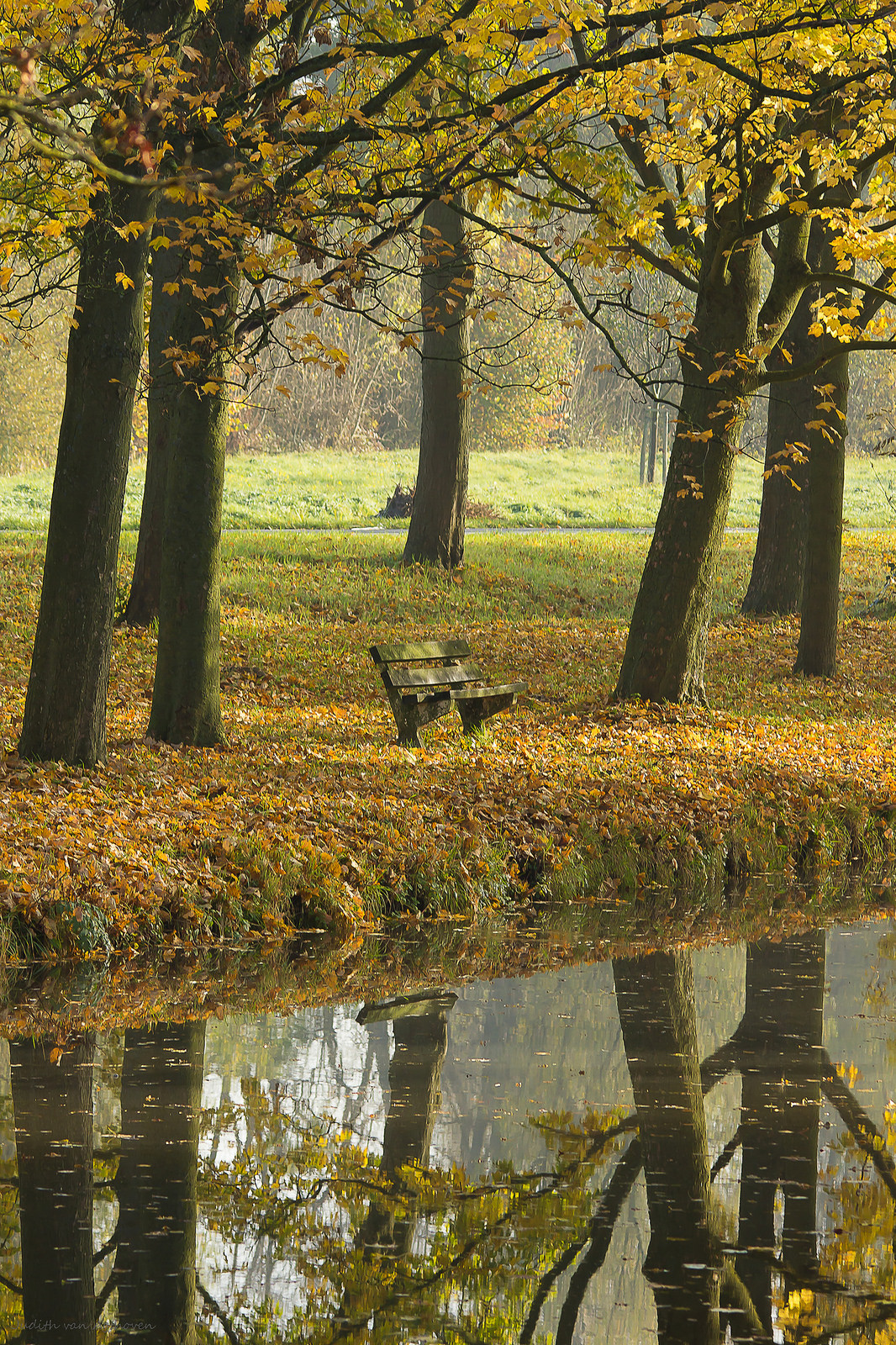 herfst-in-linschoten-1