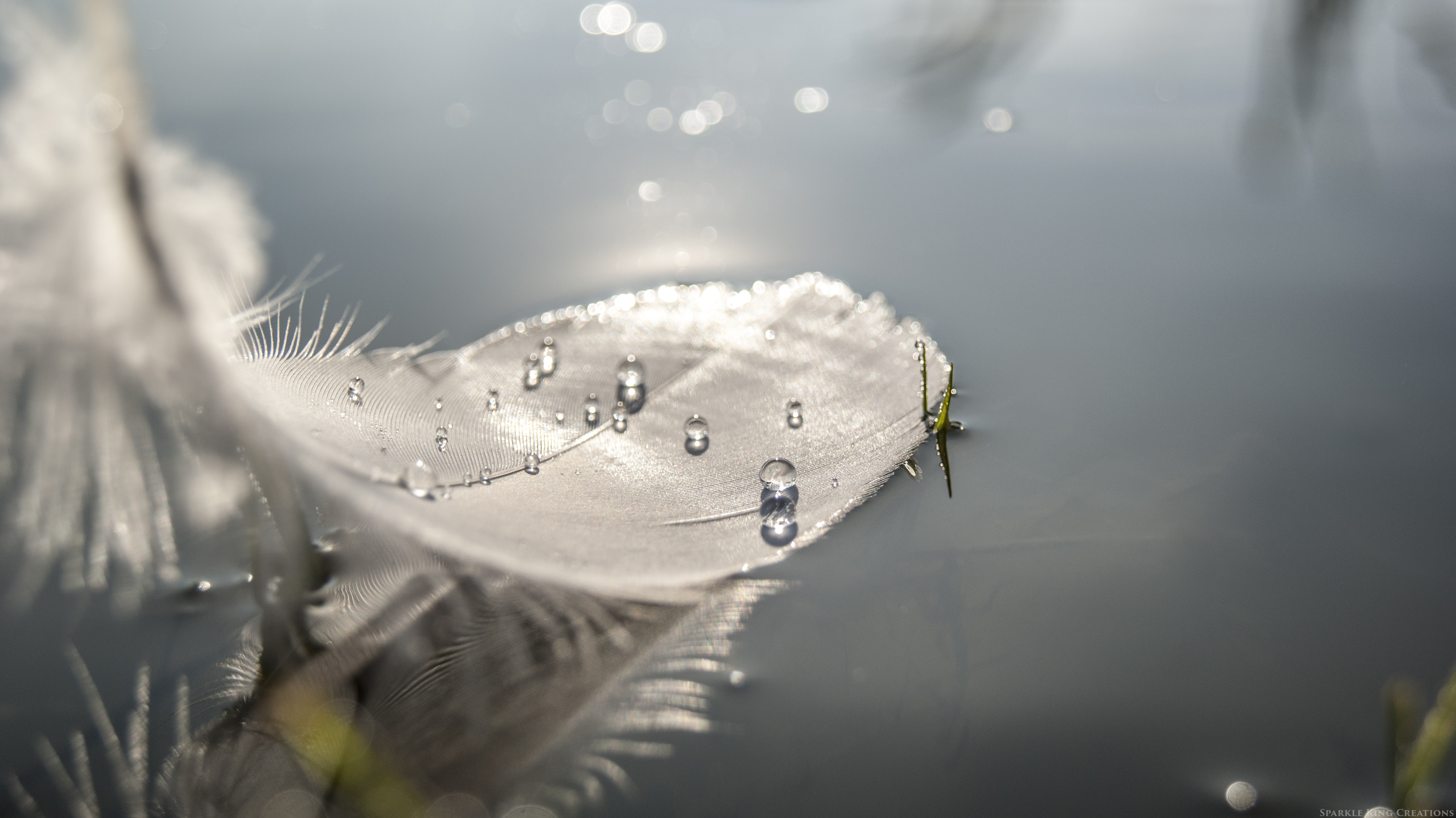 pareltjes-op-een-zwanenveertje-0