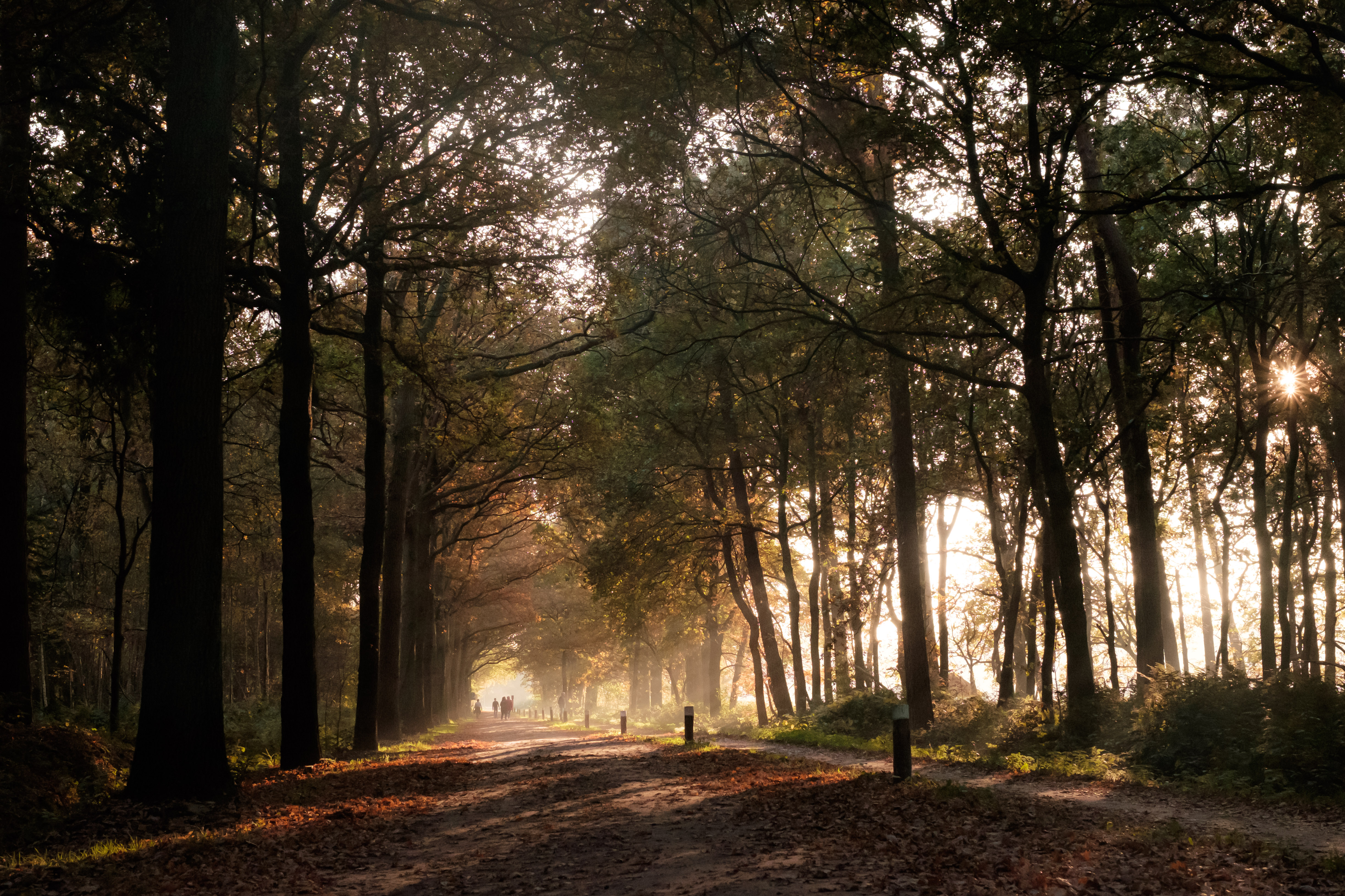 mooie-herfstdag-in-november