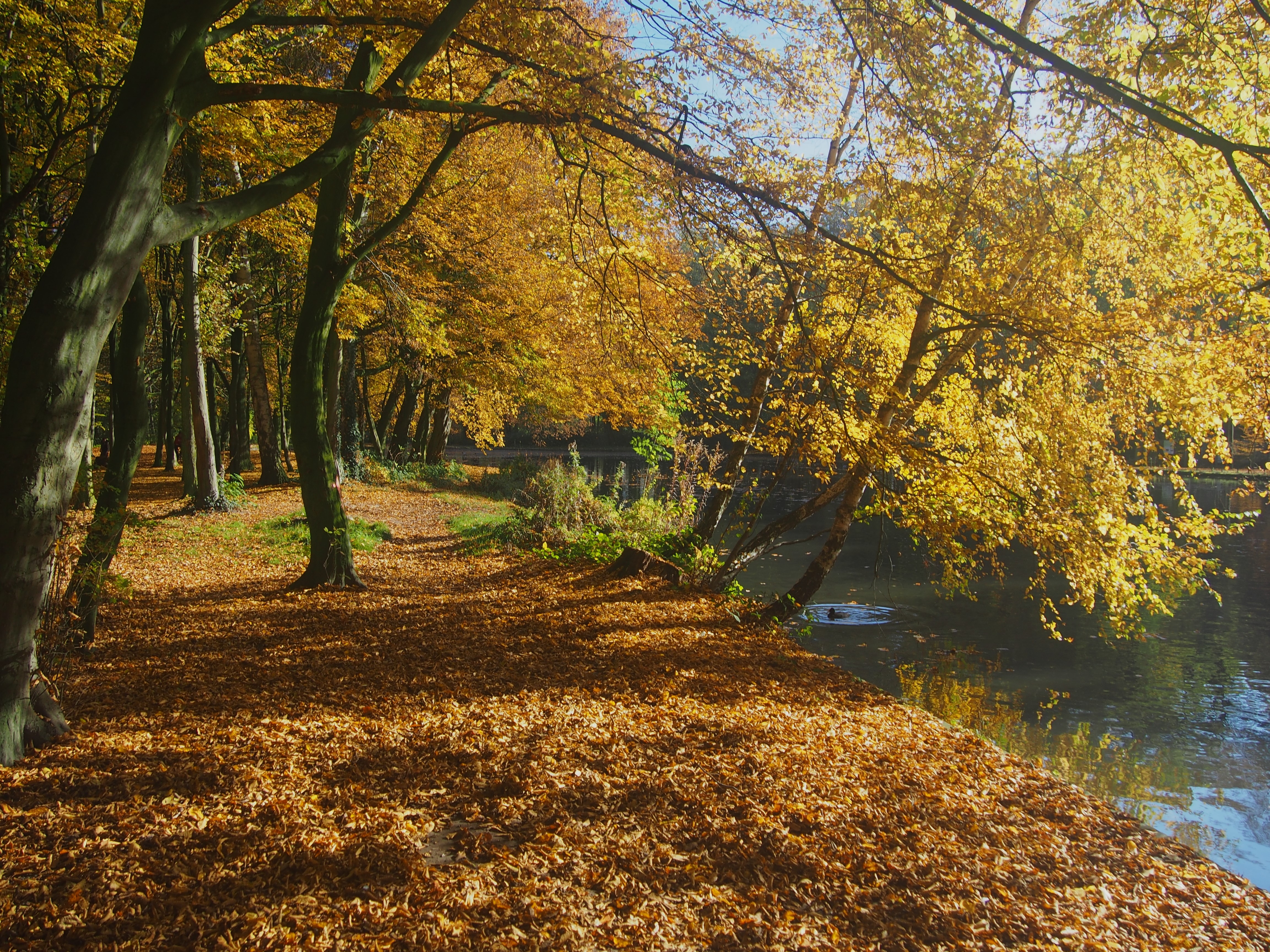 herfst-aan-het-water