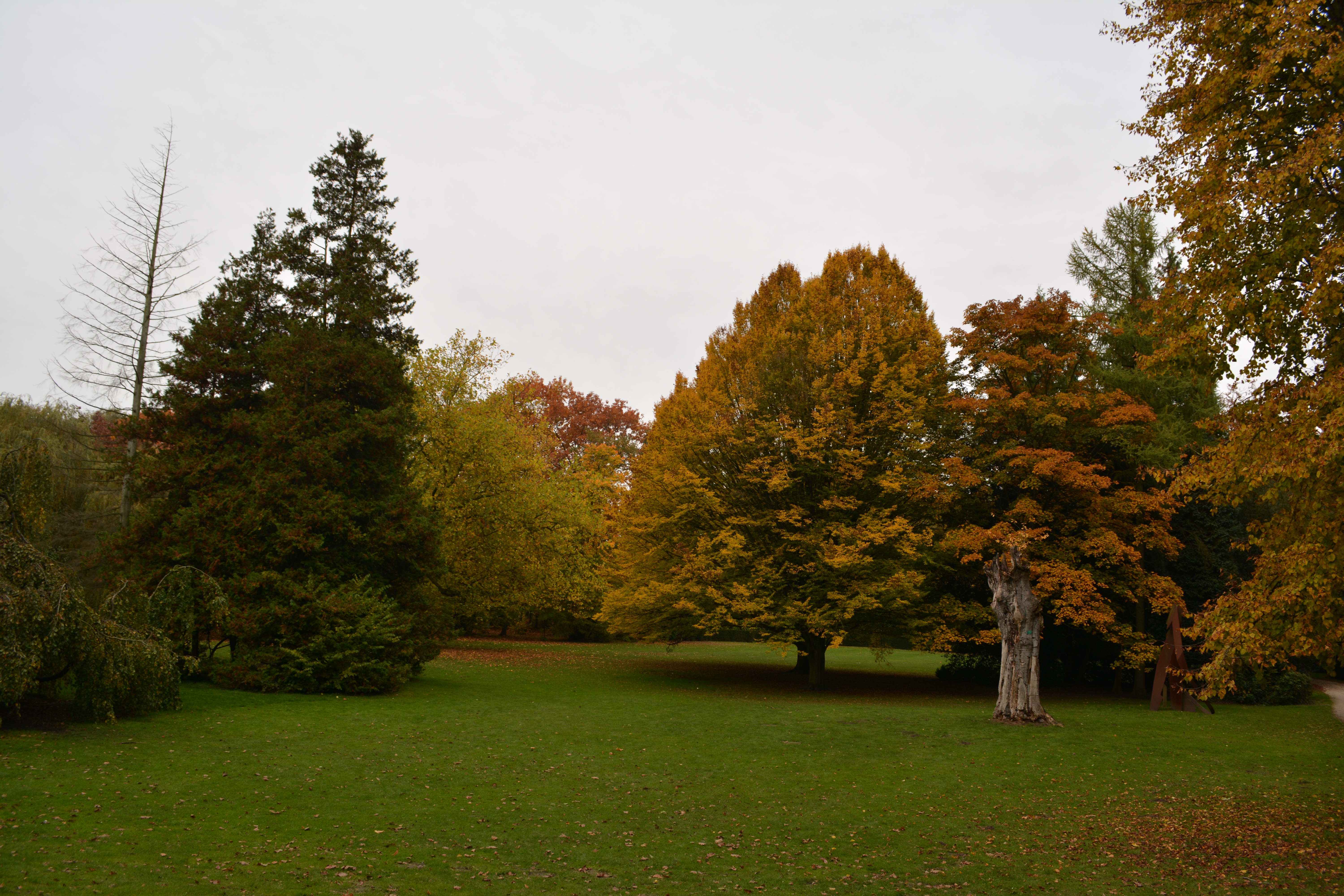 een-ontluikend-herfsttafereel