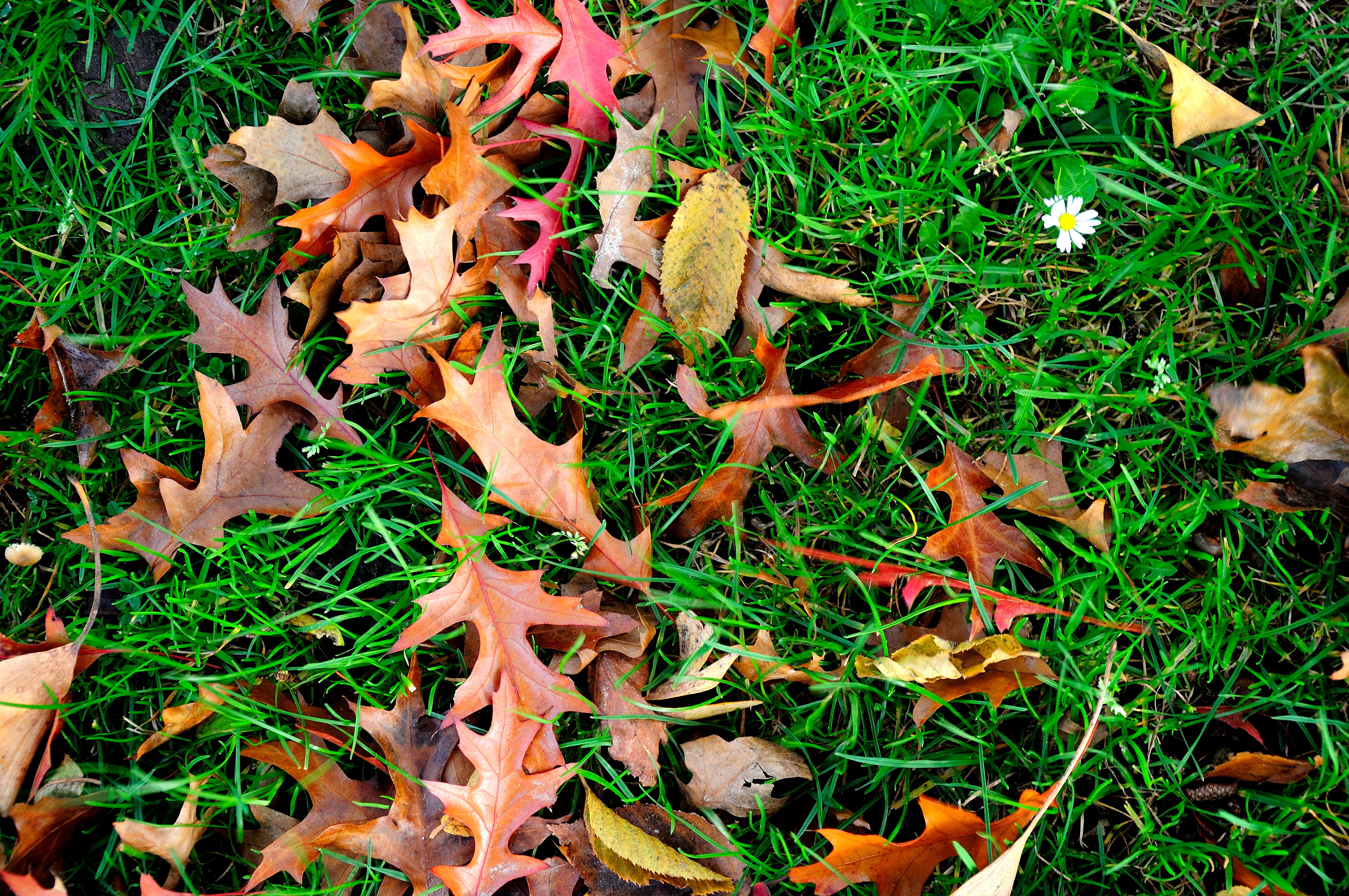 help-waar-is-de-zomer