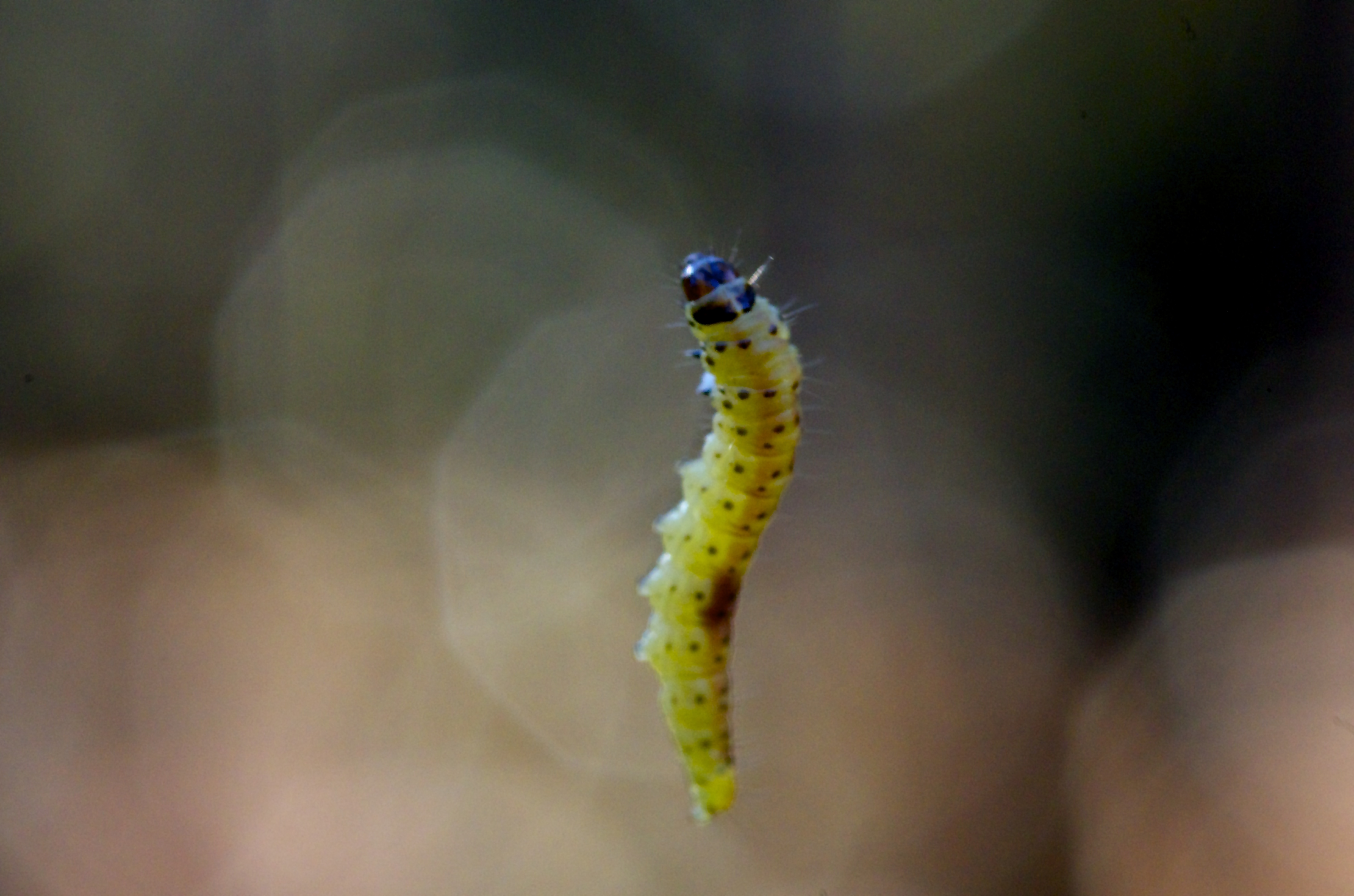 hangend-aan-een-dun-draadje