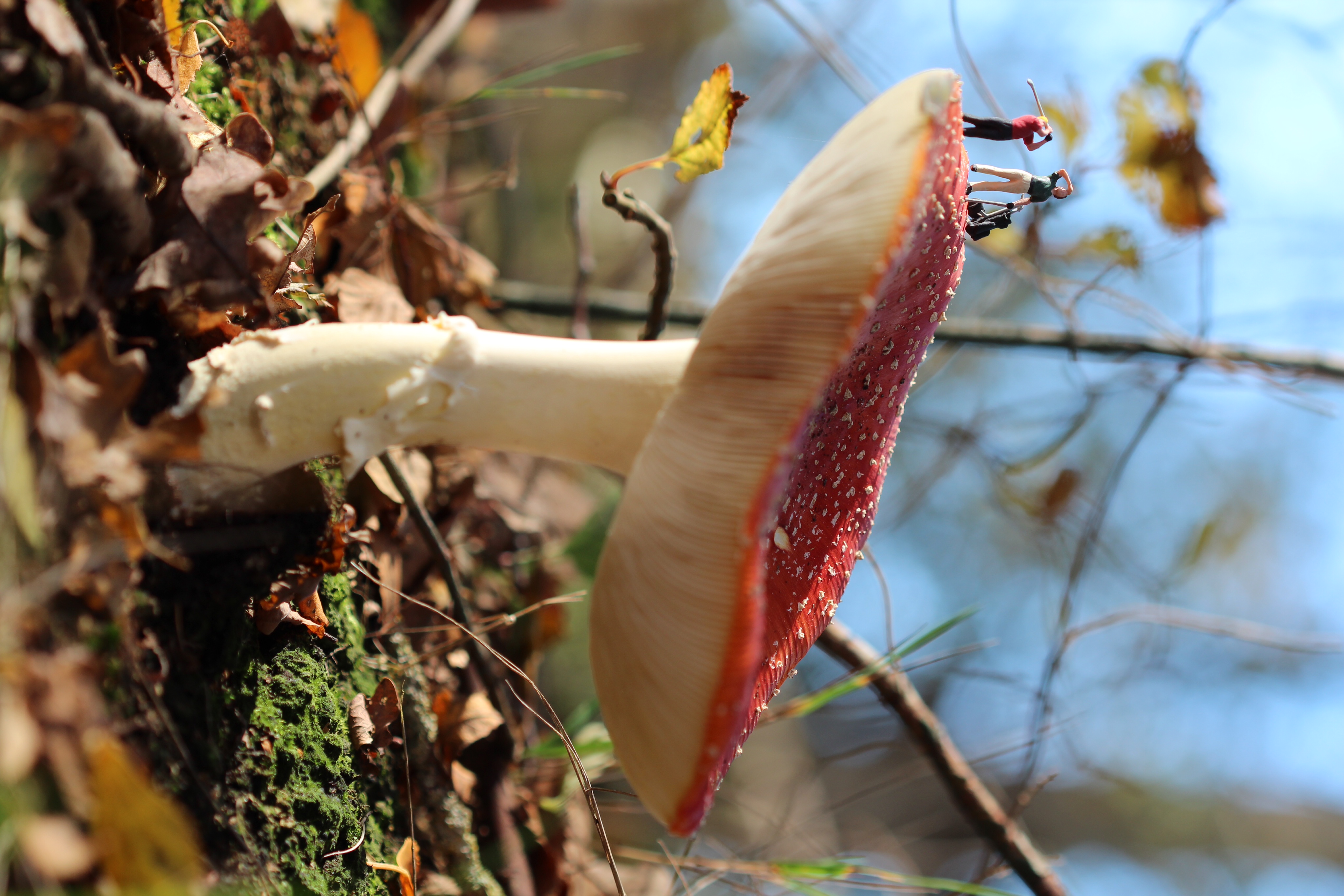 hoge-bal-golfen-op-hoogte