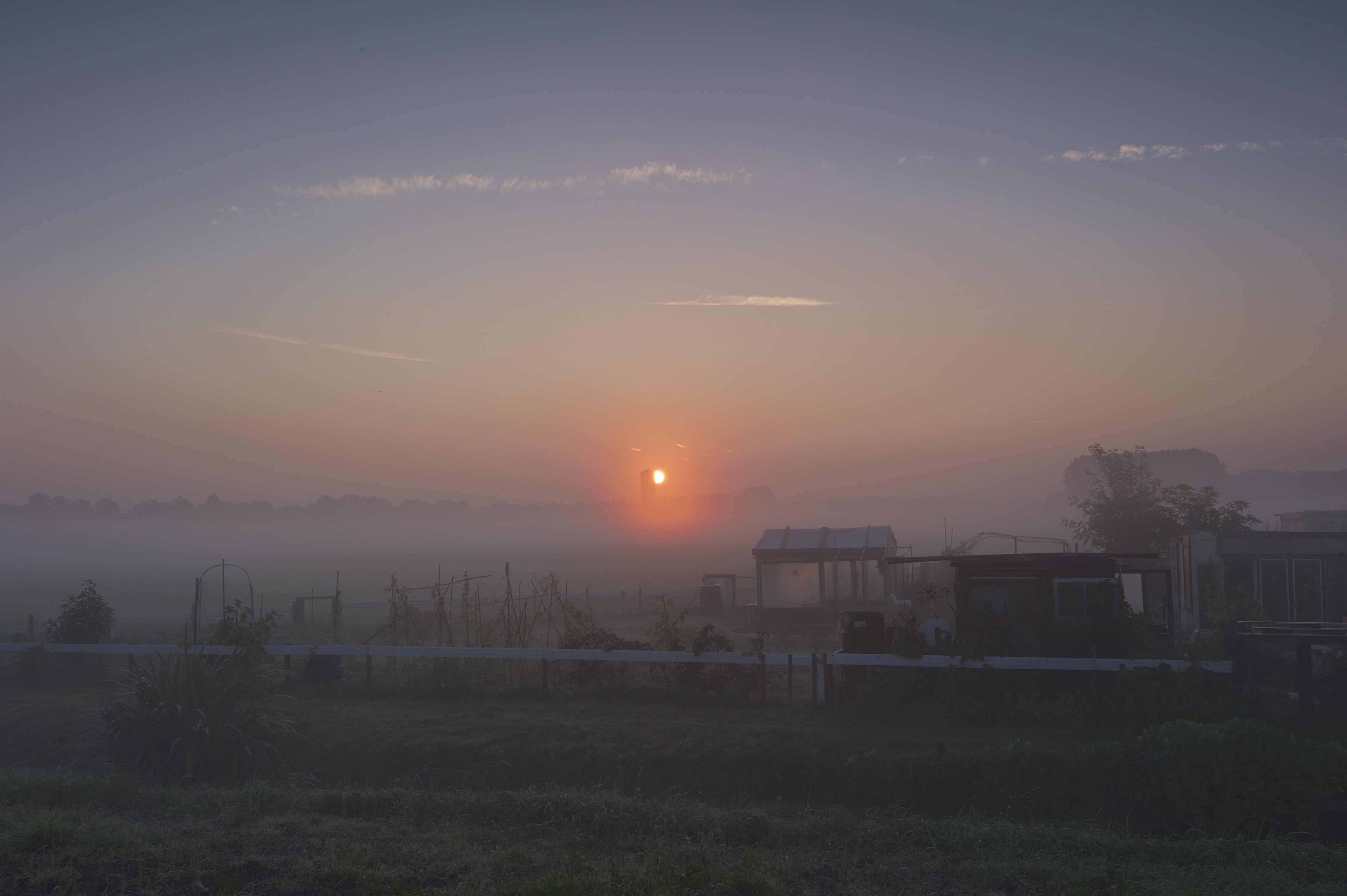 ochtend-gloren-onder-de-zeespiegel-kwadijk-4-meter-onder-nap