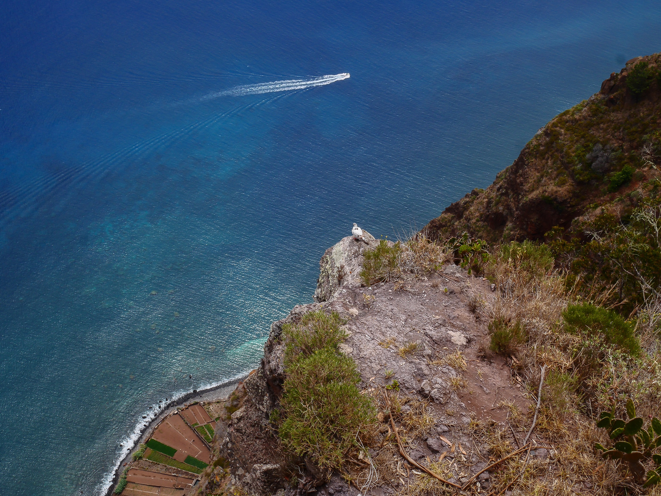 where-one-road-ends-other-possibilities-open-new-ones-cabo-gir%C3%A3o-madeira