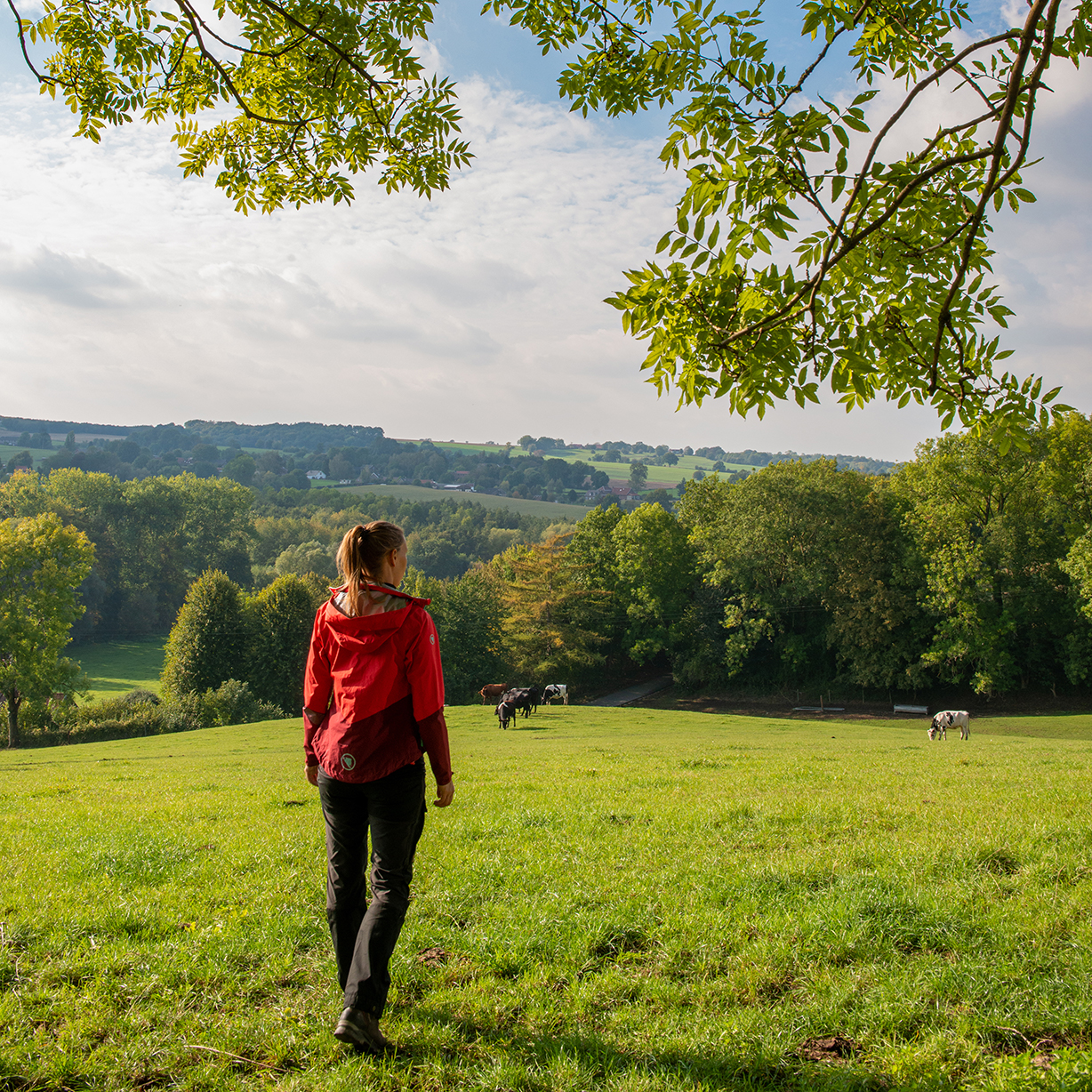 de-ultieme-fotogids-voor-de-dutch-mountain-trail