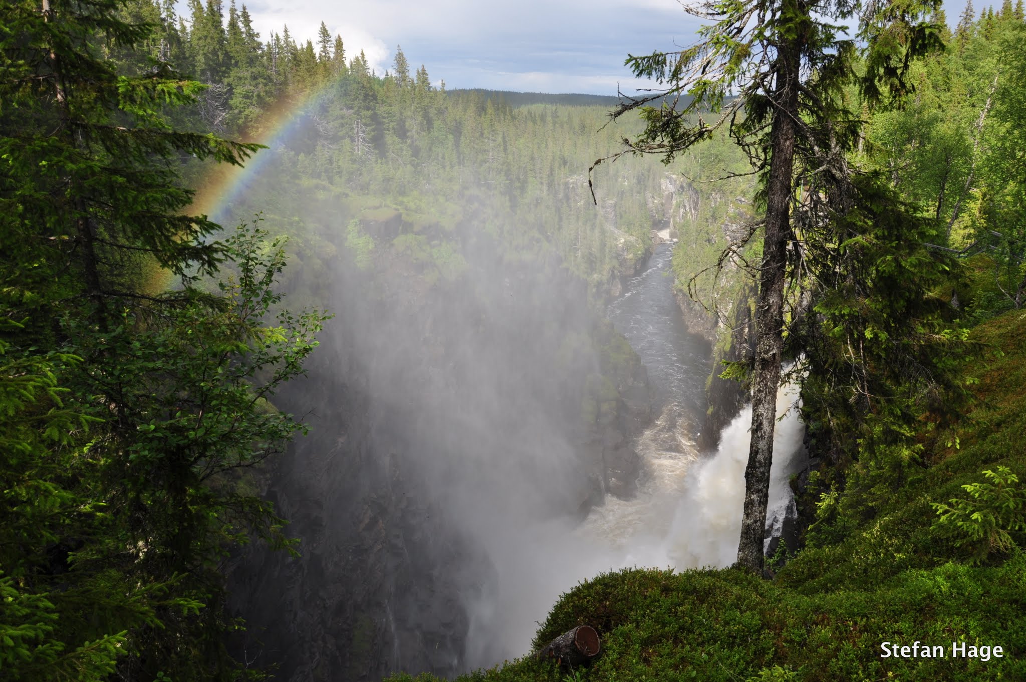 h%C3%A4llings%C3%A5fallet-zweden