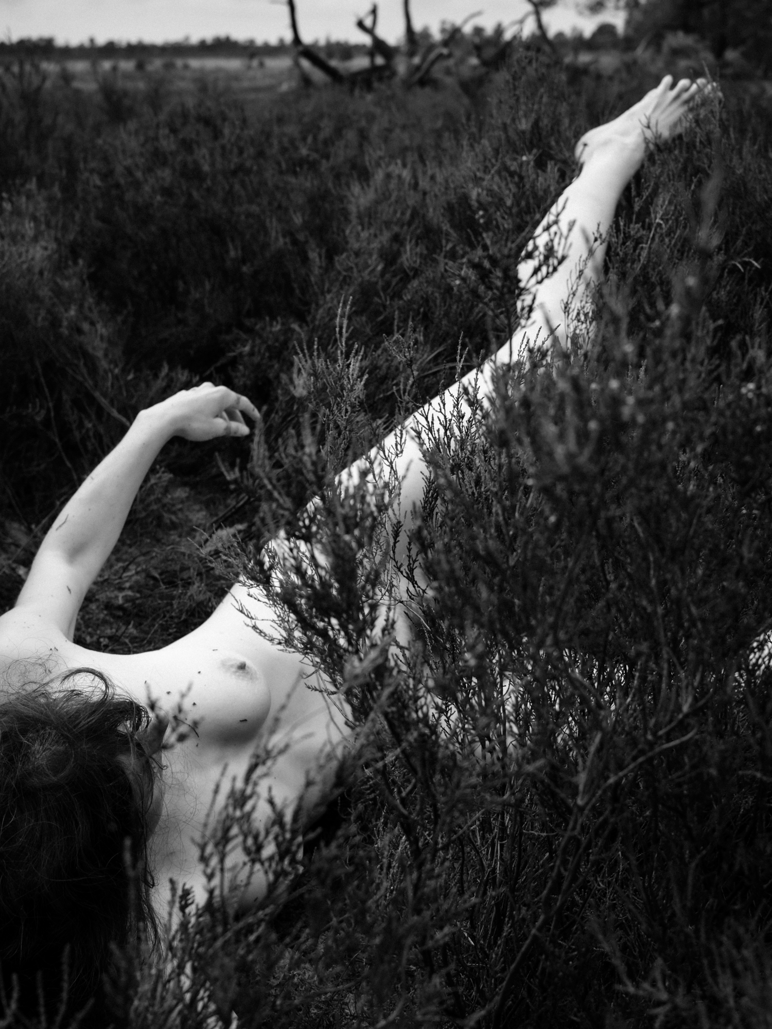 solivagant-1