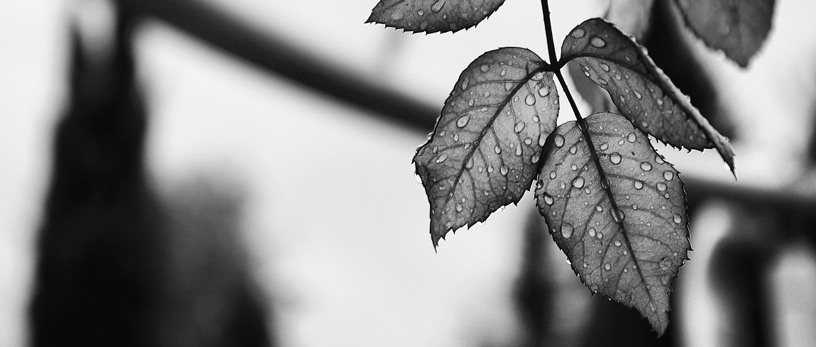 5-prachtige-zwart-wit-fotos-uit-de-lezersgallery