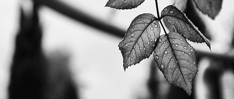 5-prachtige-zwart-wit-fotos-uit-de-lezersgallery