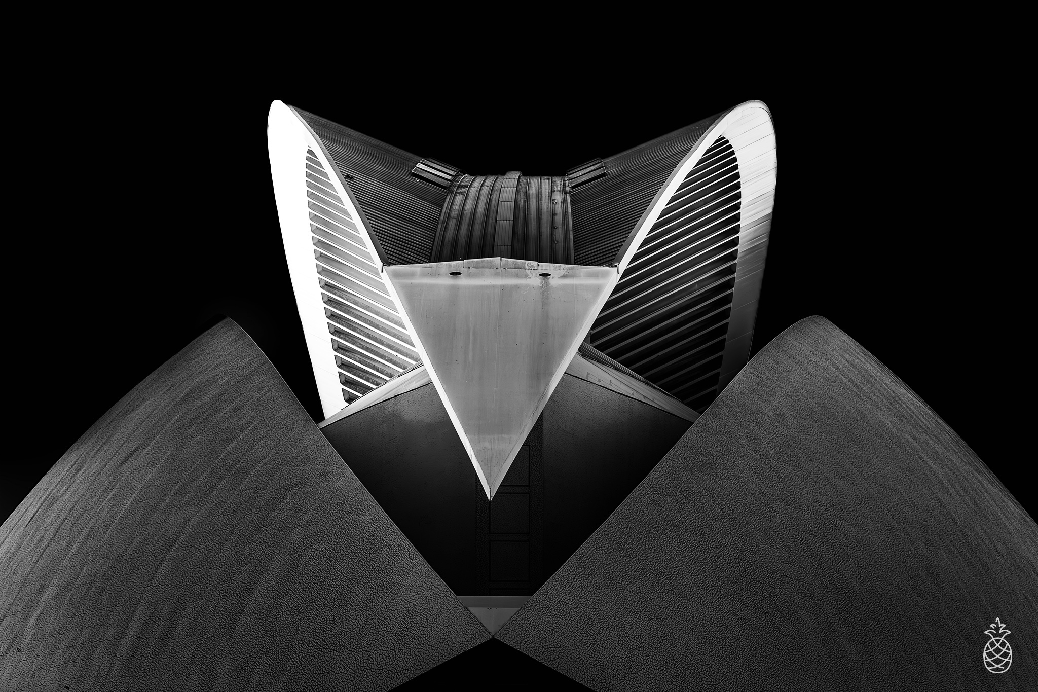 into-the-light%E2%80%A6