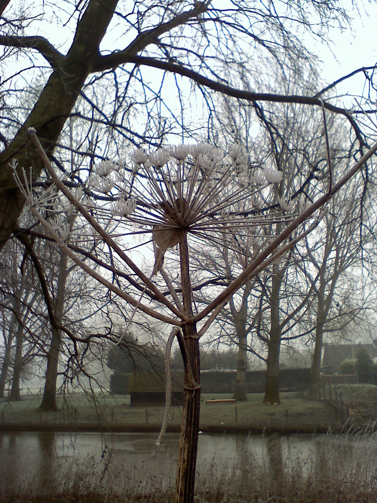 winter-in-nederland-3