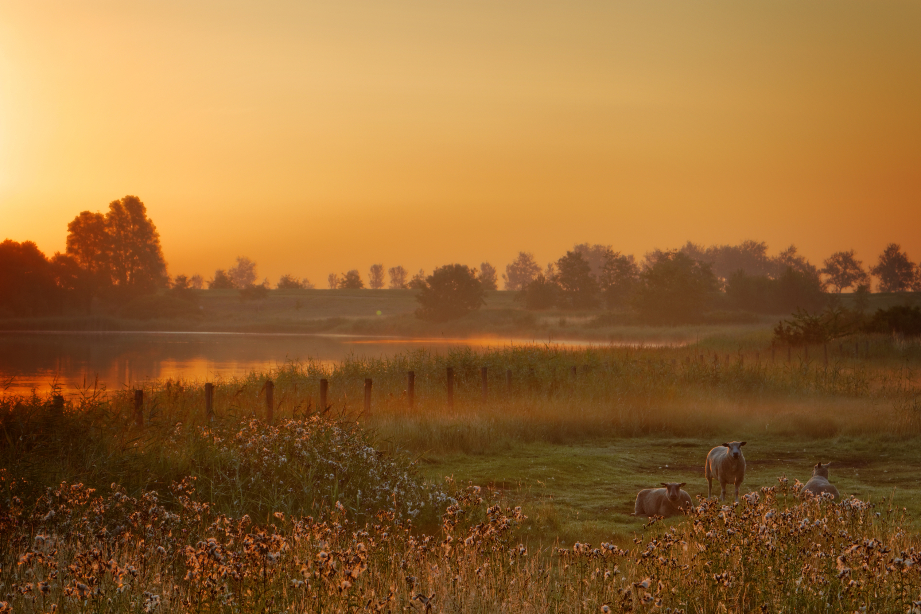 kaaskenswater-zierikzee