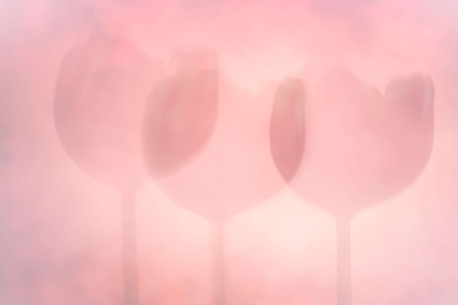three-of-a-kind-0
