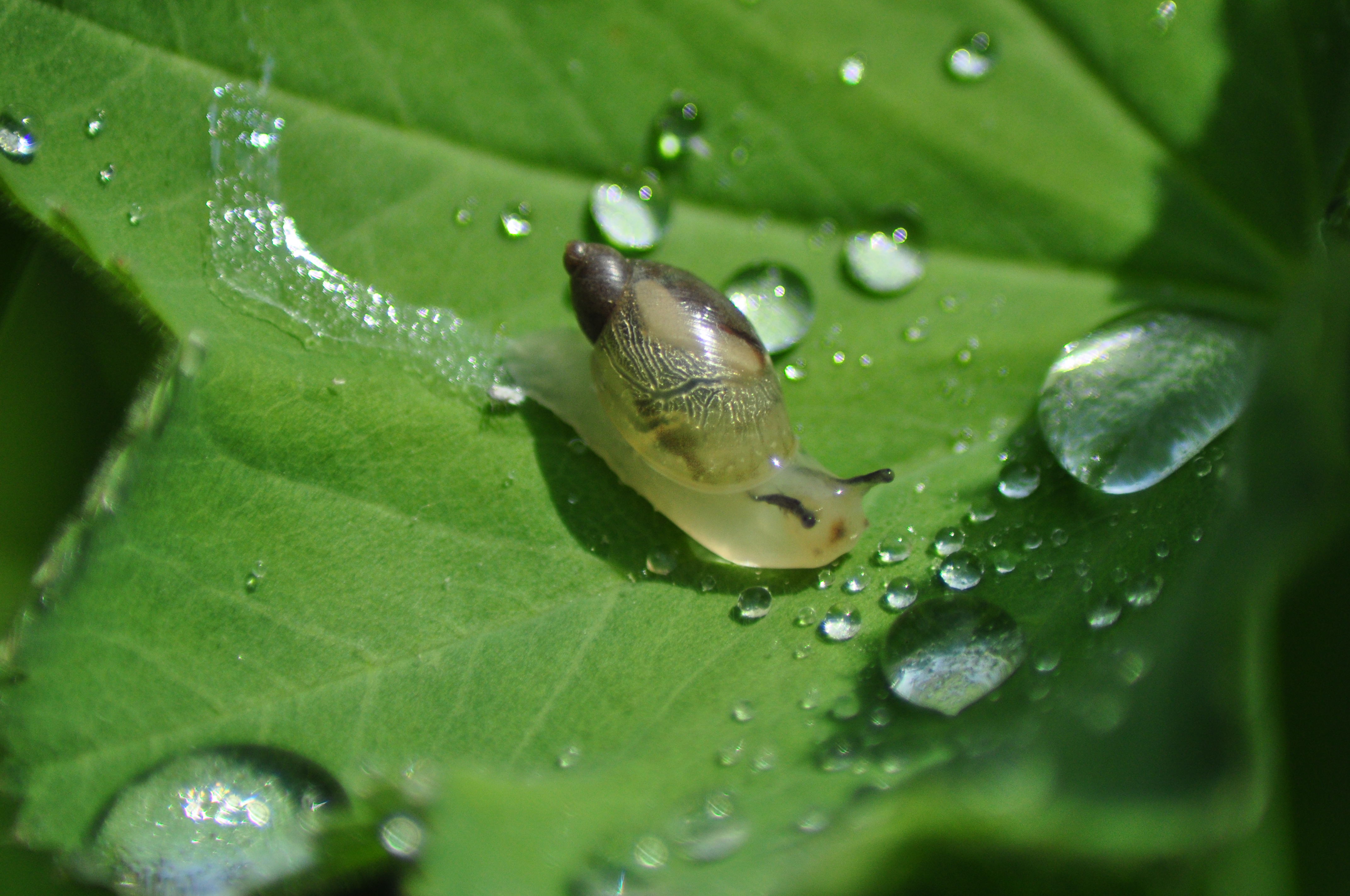 welcome-to-the-world