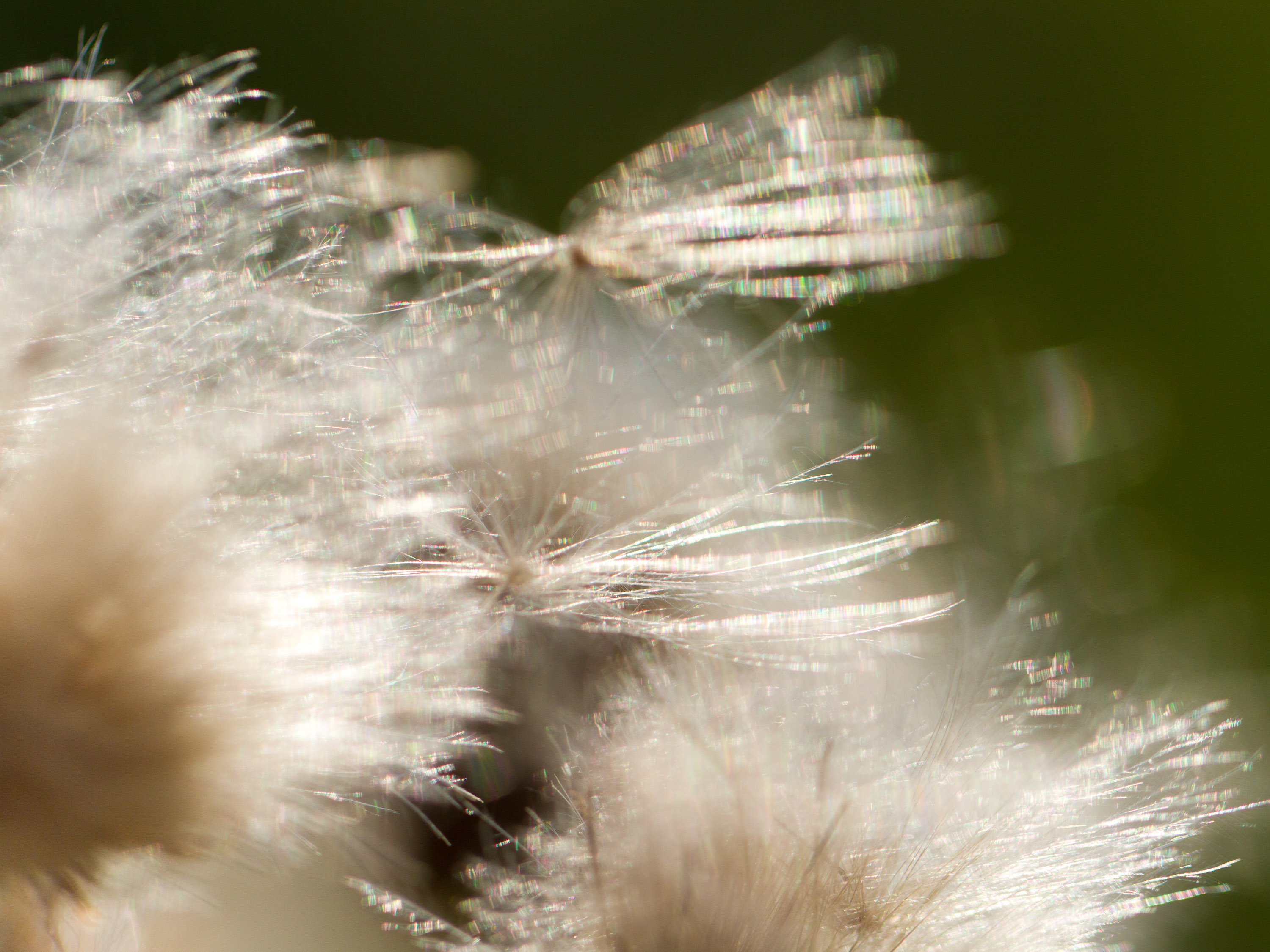 bijna-idyllisch-qua-sfeer