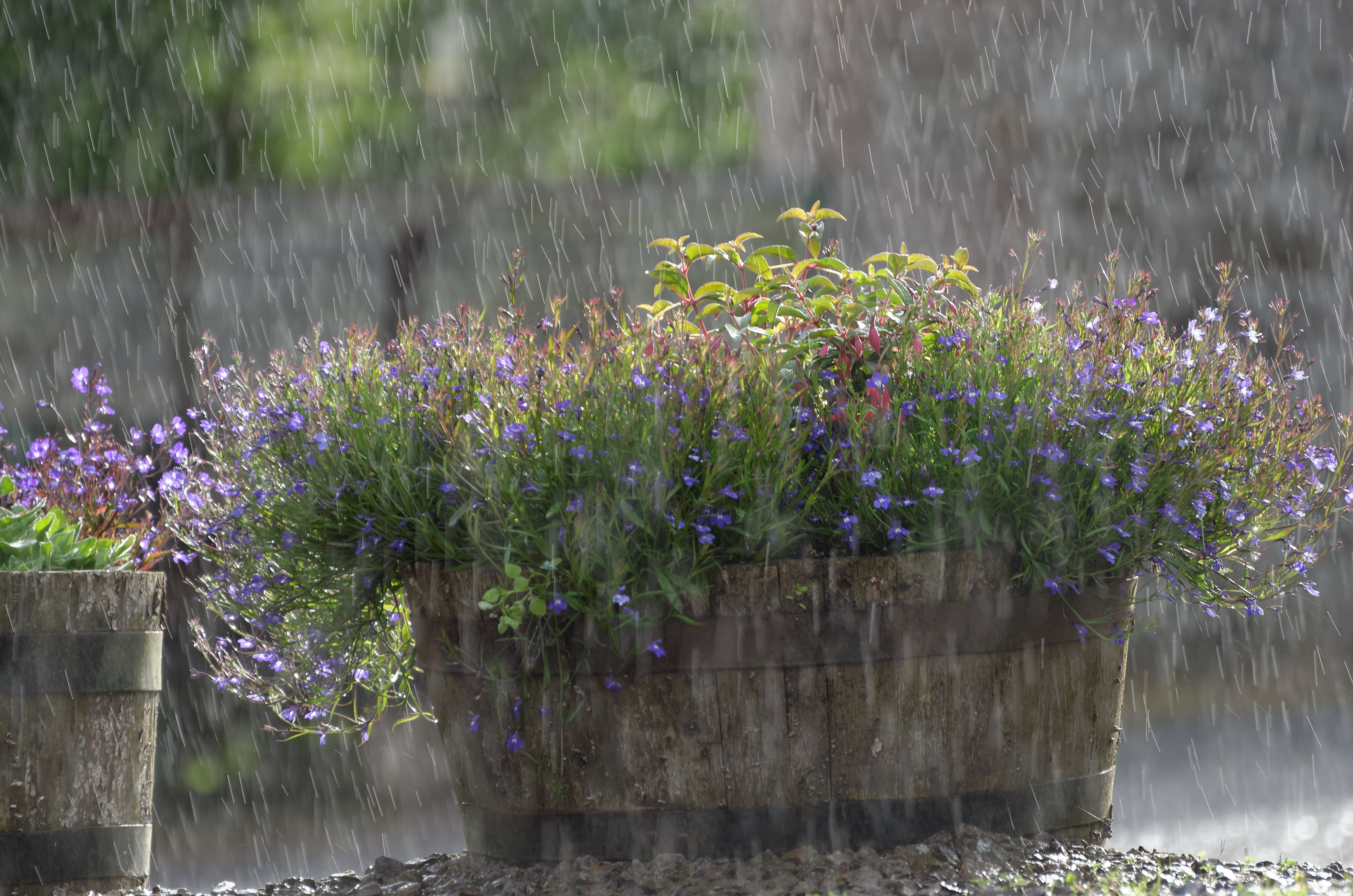 im-standing-in-the-rain