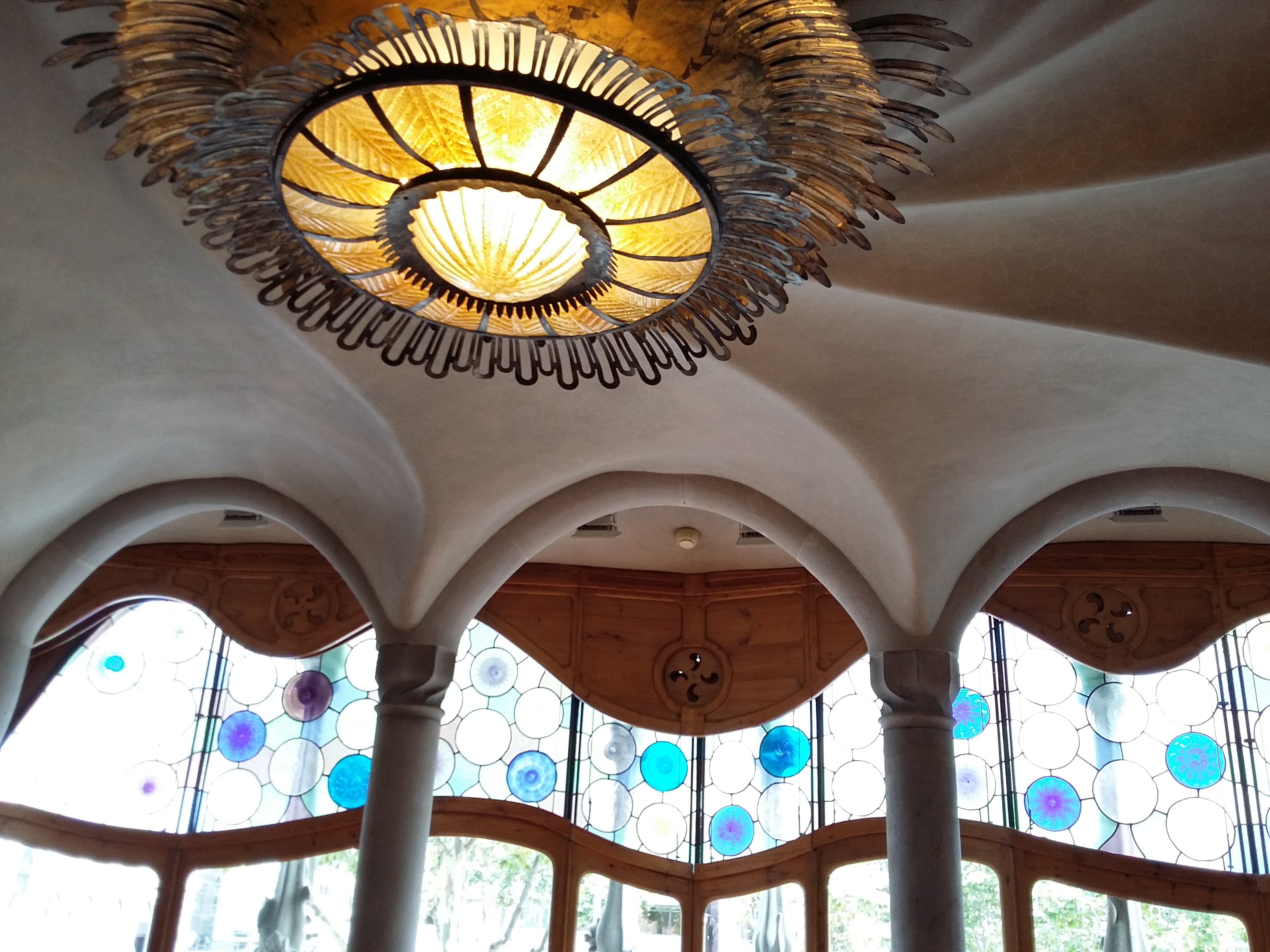 letterlijk-tegenlicht