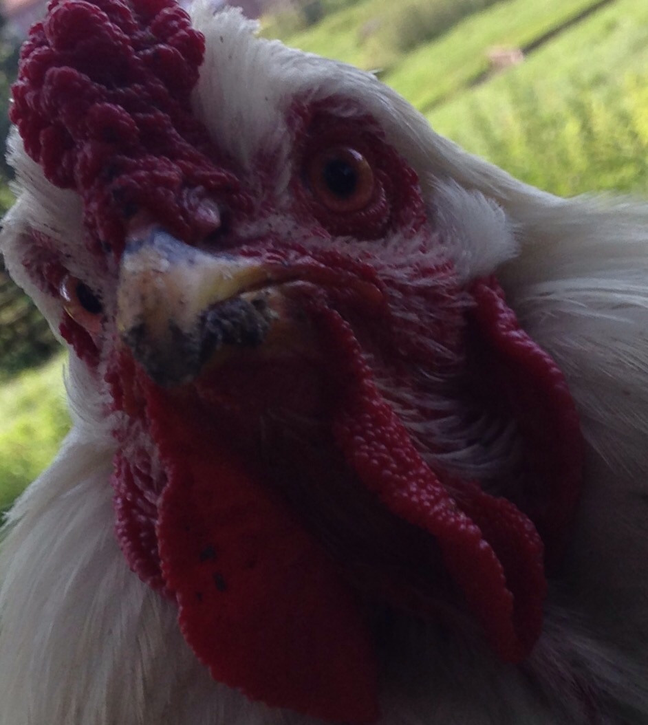 are-you-tokkin-to-me