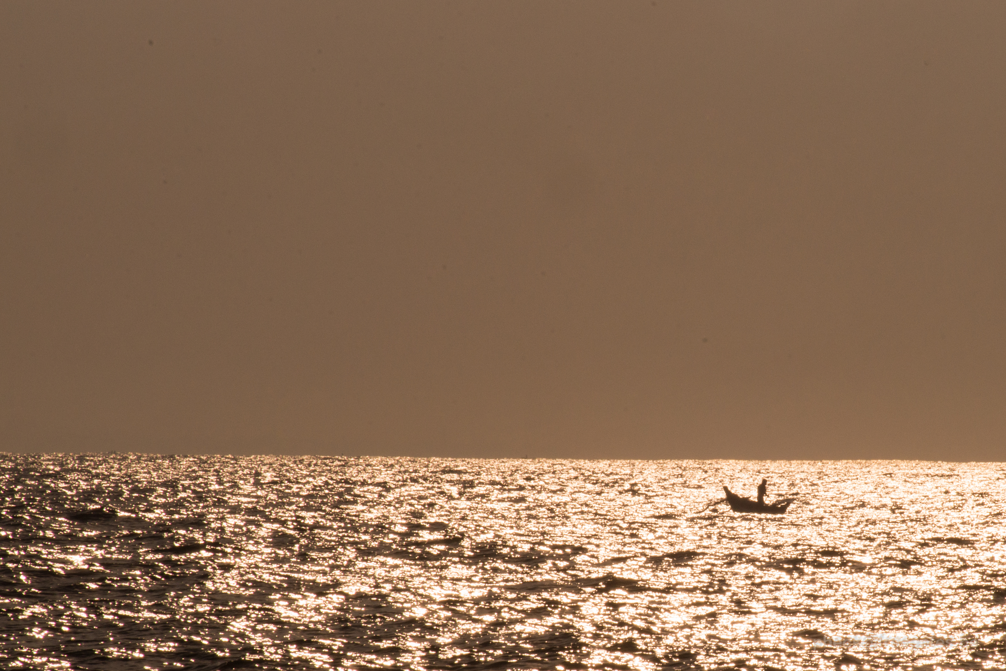 sr-lanka-the-man-on-the-sea