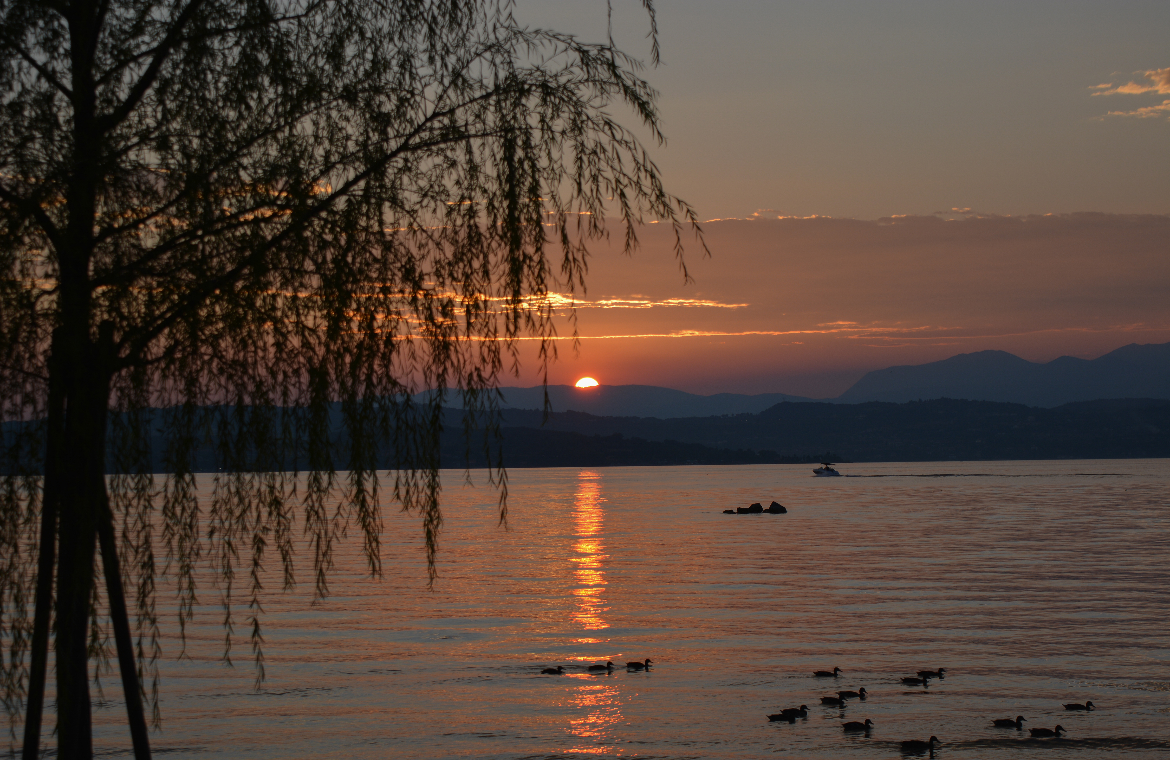 down-under-in-itali%C3%AB