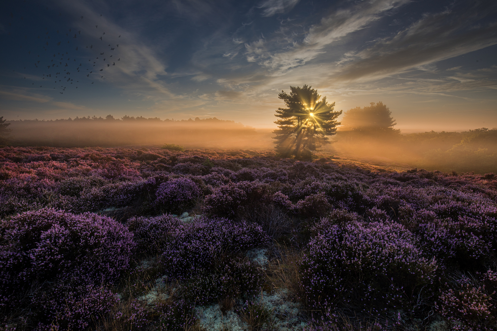de-natte-droom-van-elke-landschapfotograaf